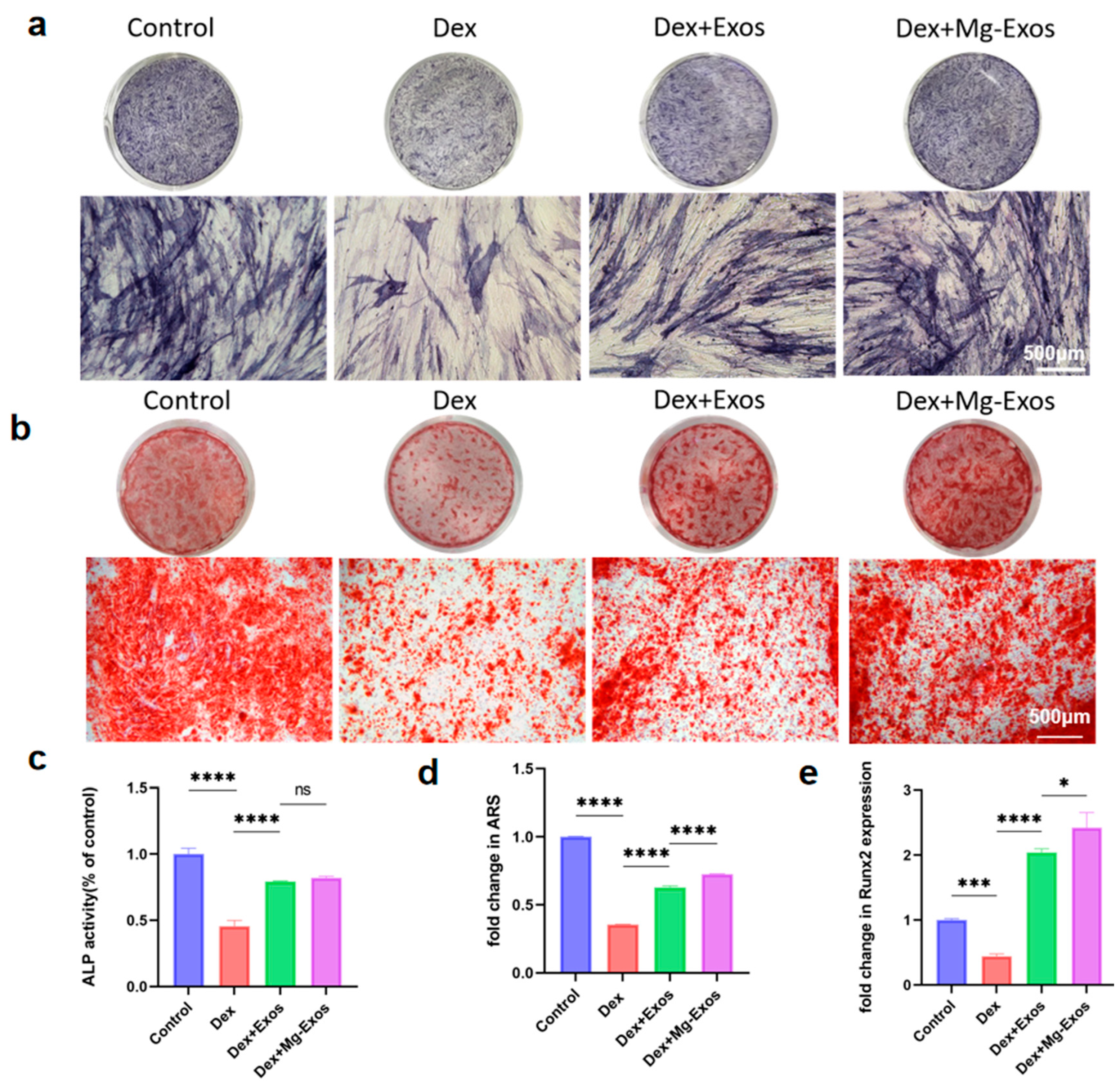 Materials 18 04687 g005