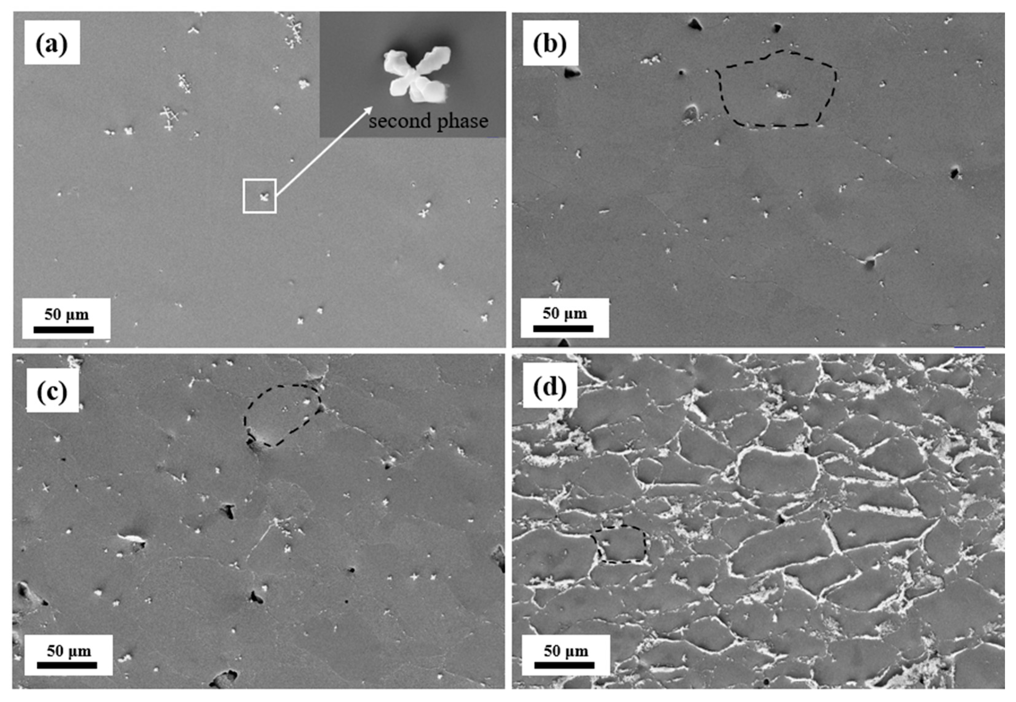 Materials 18 04691 g007