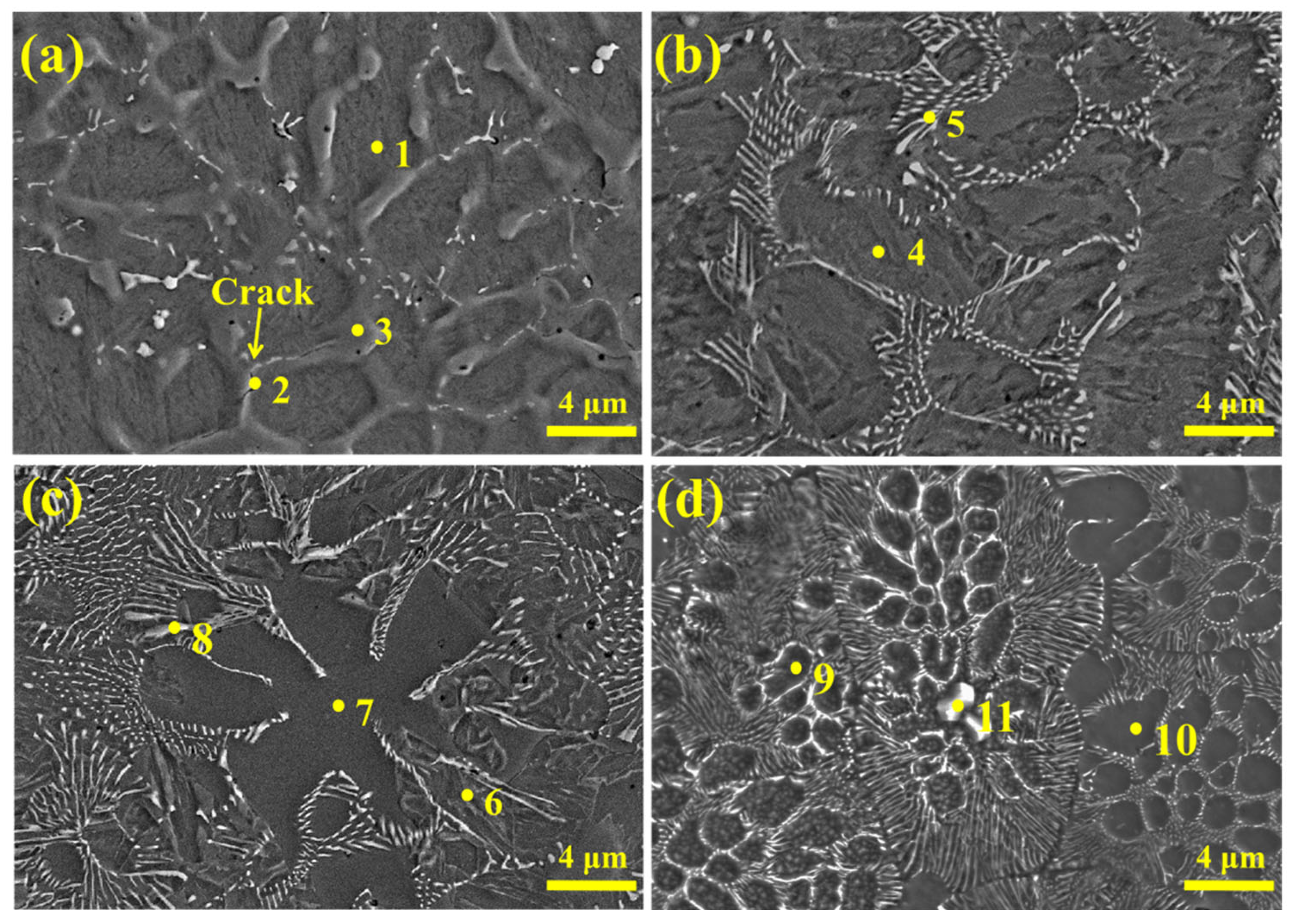 Materials 18 04696 g002