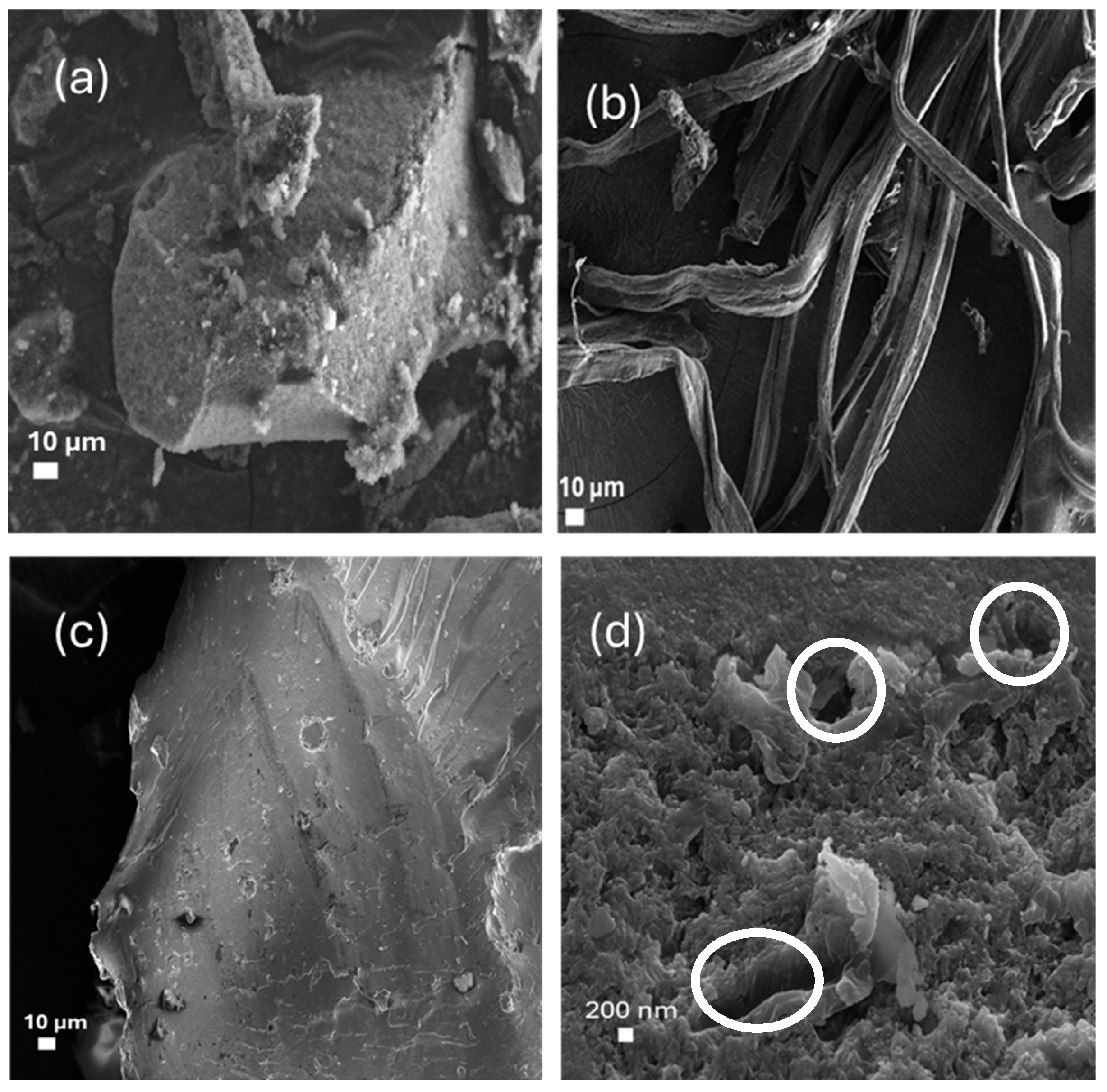 Materials 18 04702 g003