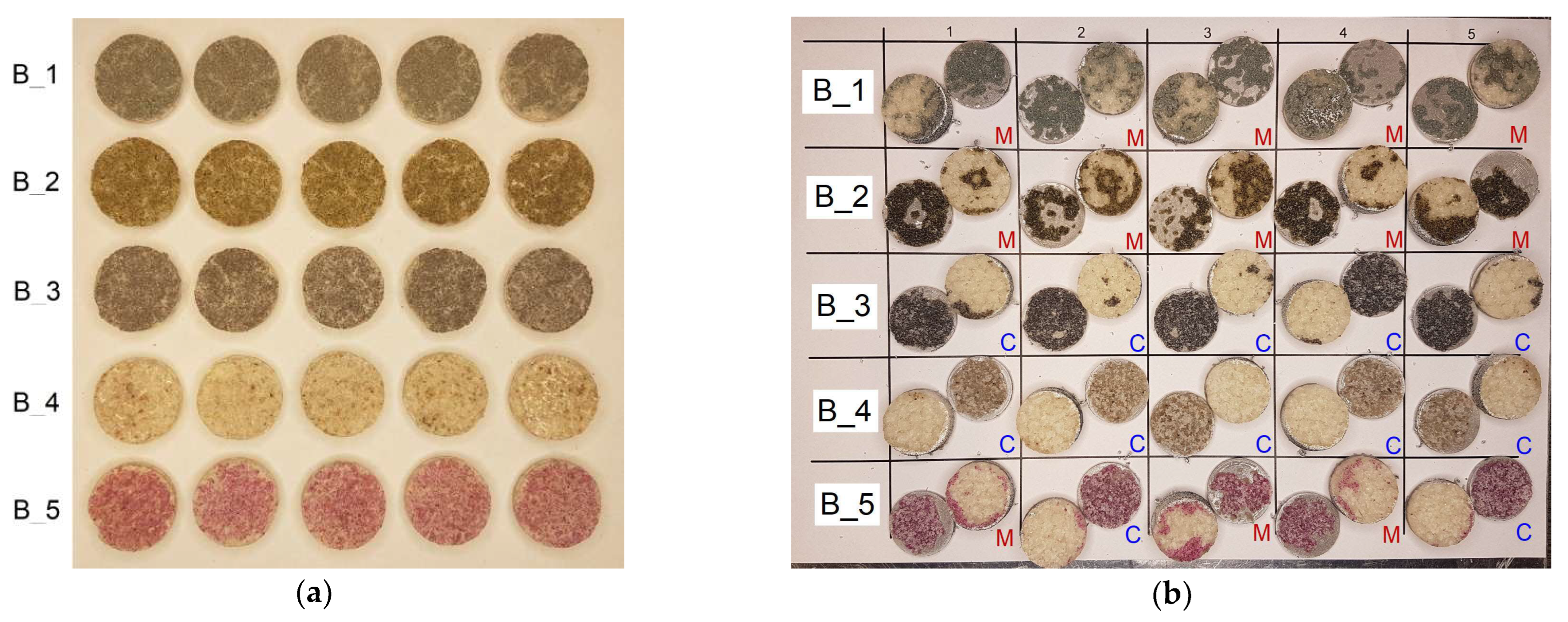 Materials 18 04725 g019