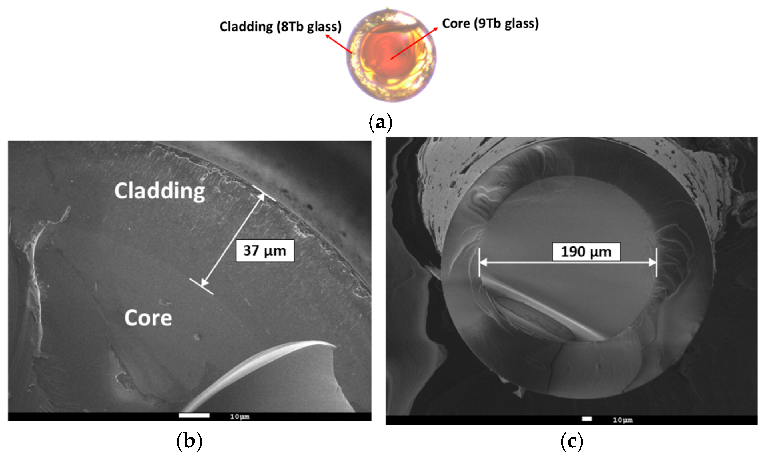 Materials 18 04736 g005 Materials 18 04736 g005
