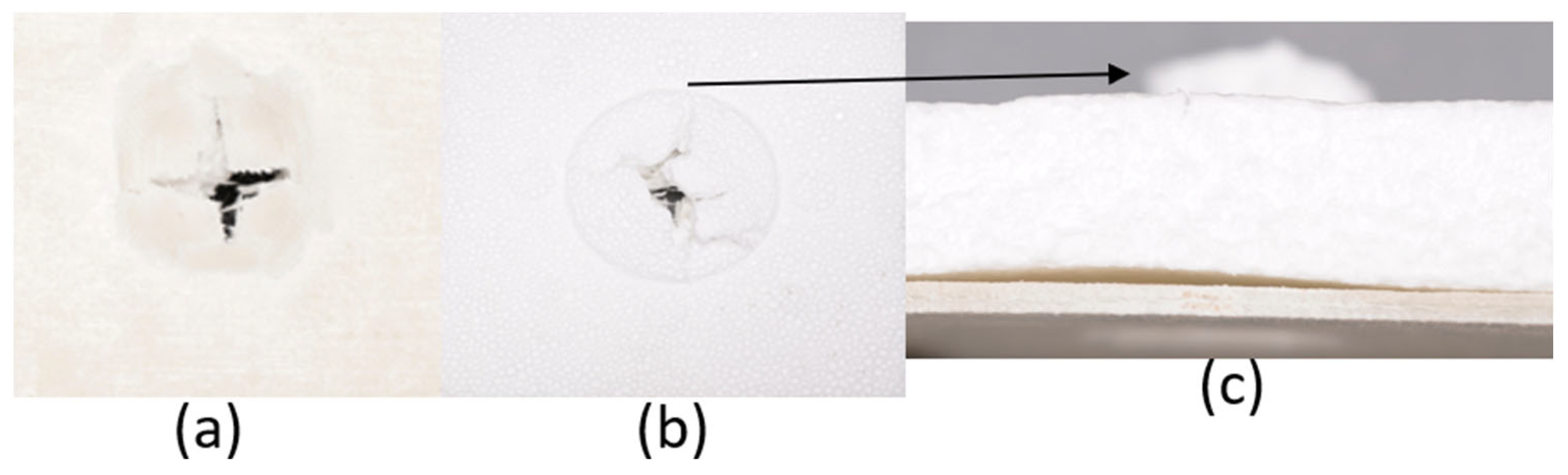 Materials 18 04740 g019