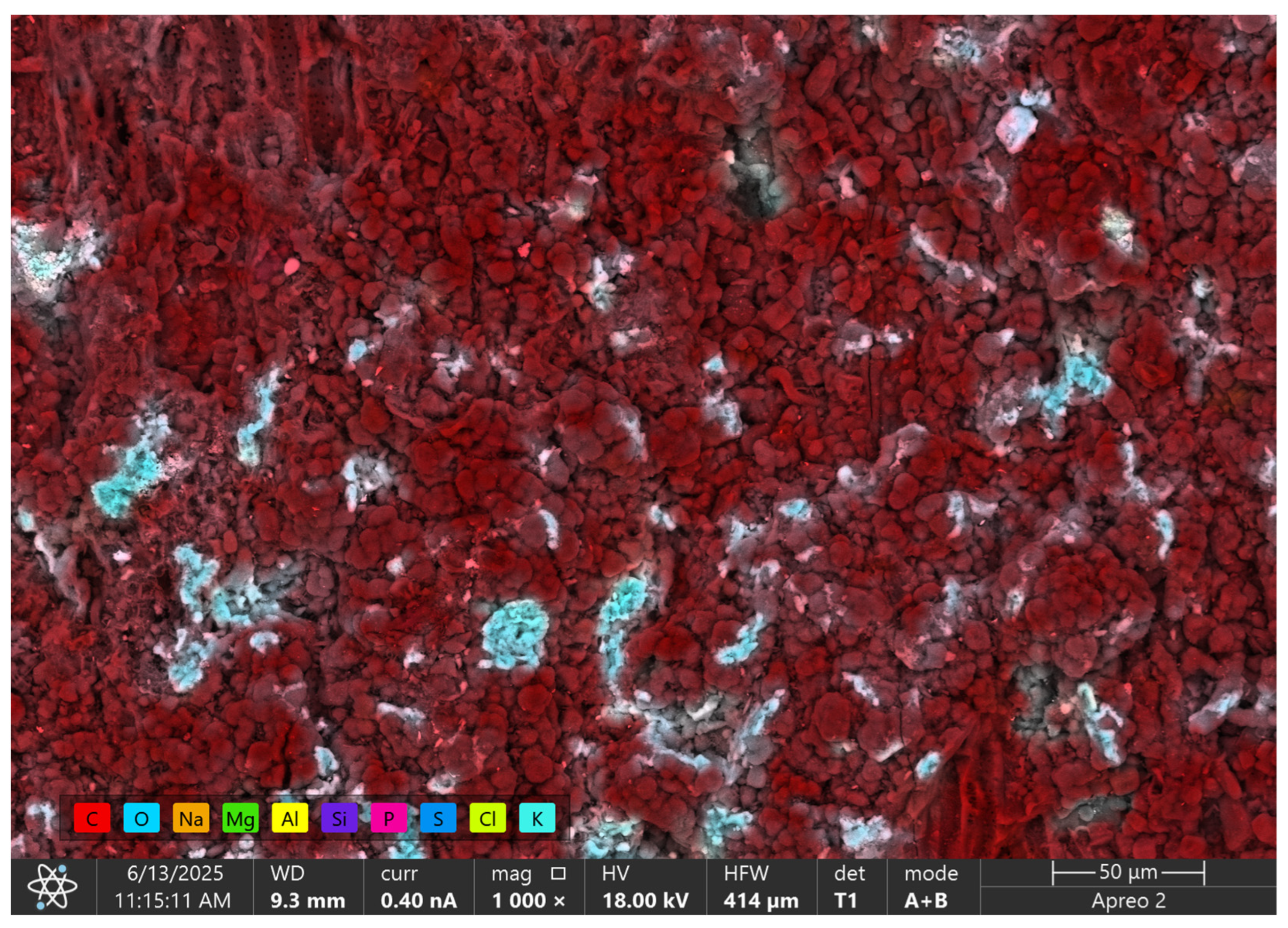 Materials 18 04742 g004