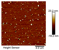 Materials 18 04746 i001