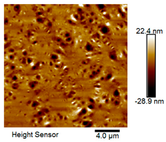 Materials 18 04746 i009