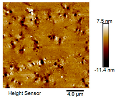 Materials 18 04746 i011