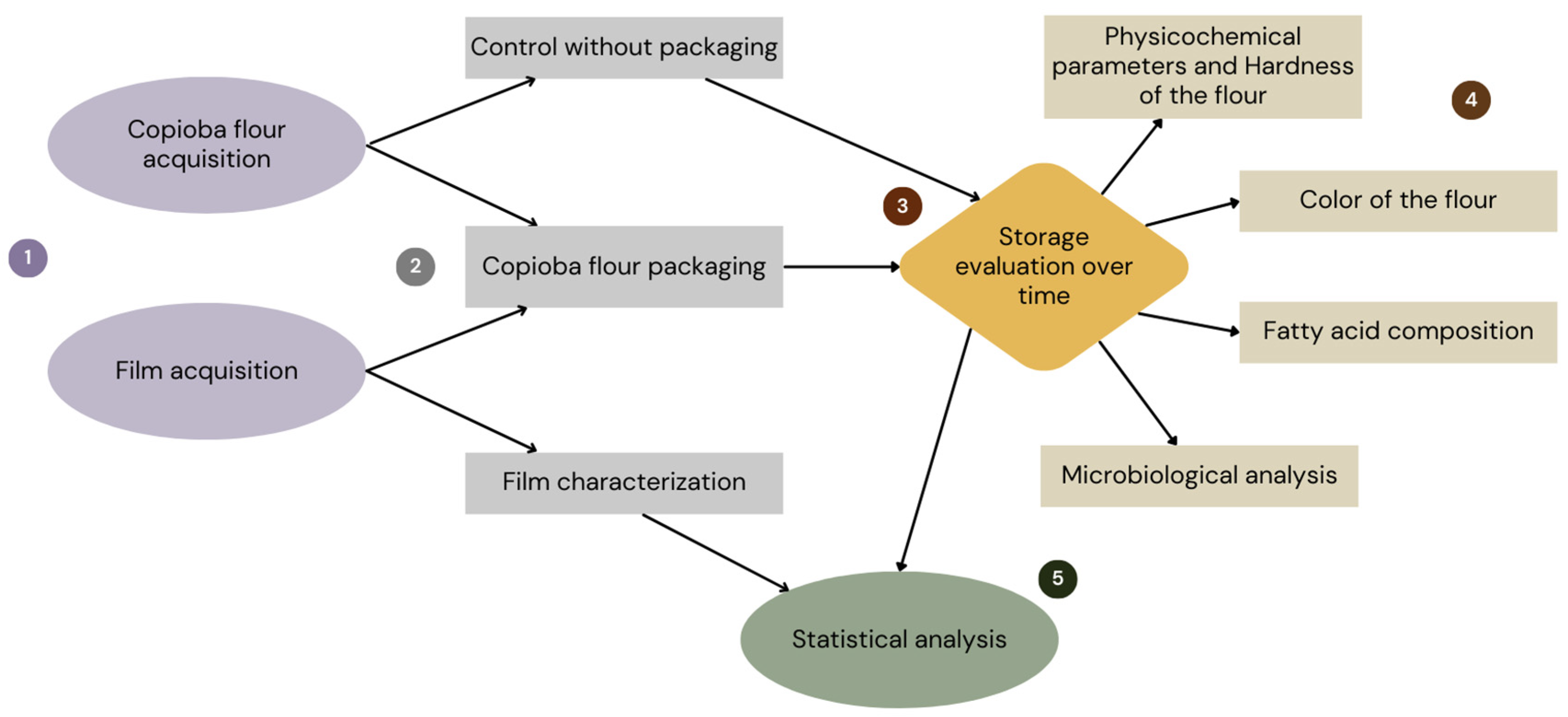 Materials 18 04768 sch001 Materials 18 04768 sch001