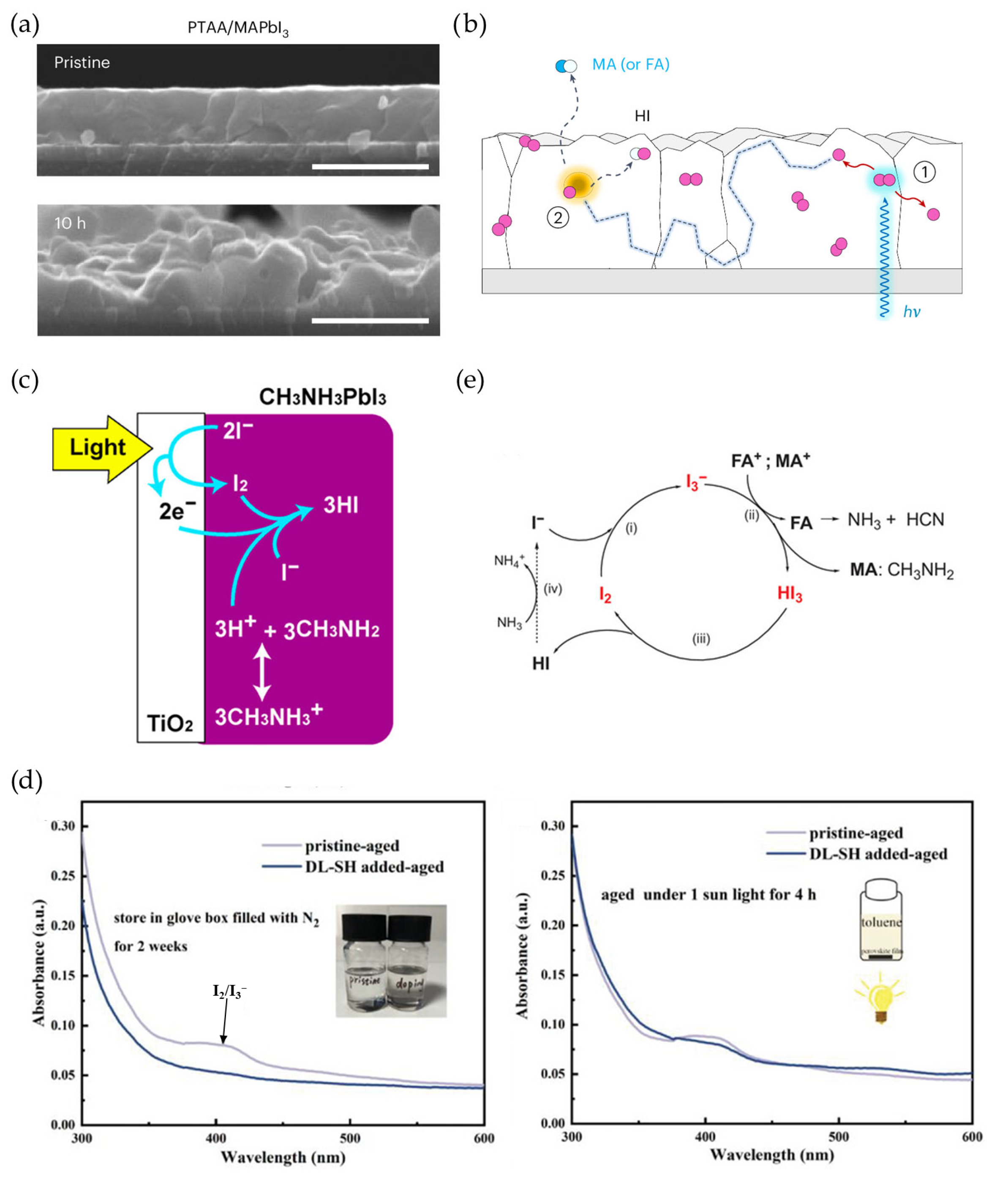 Materials 18 04776 g004