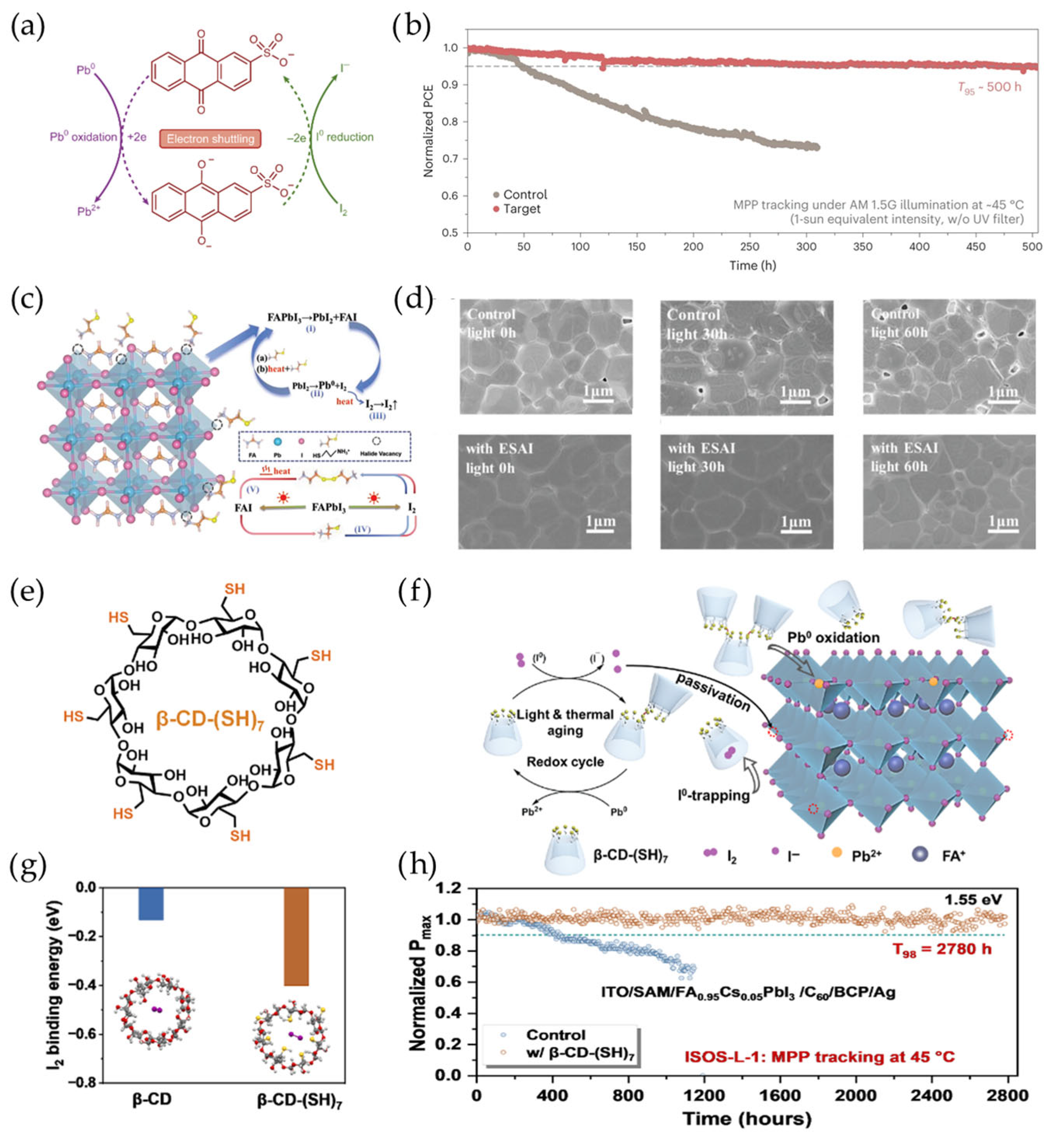 Materials 18 04776 g008