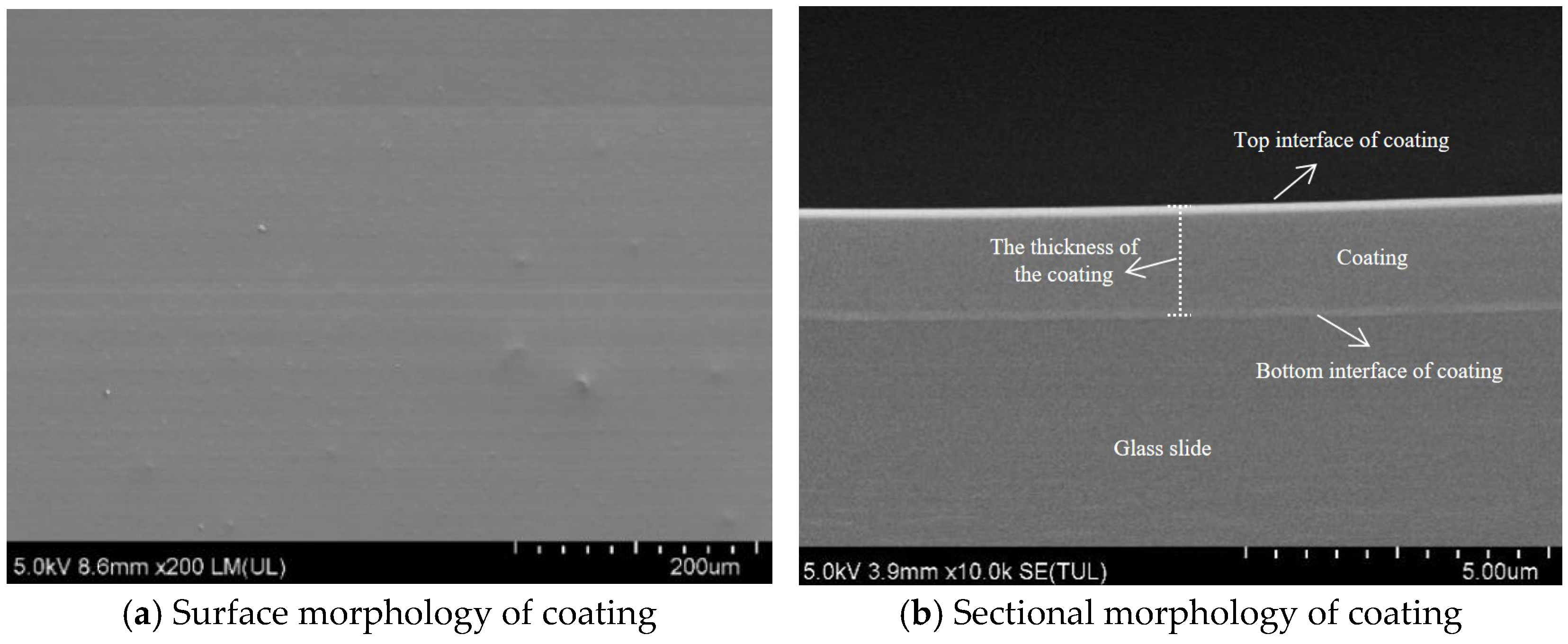 Materials 18 04778 g009