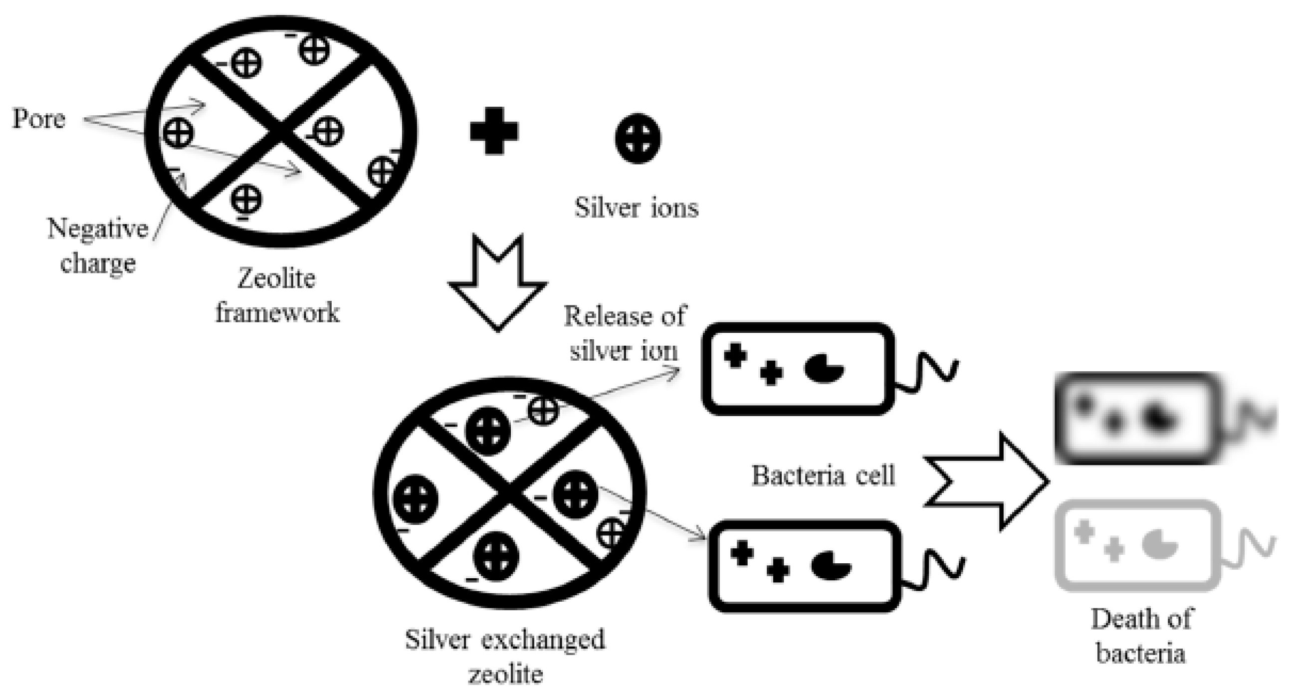 Materials 18 04779 g004 Materials 18 04779 g004