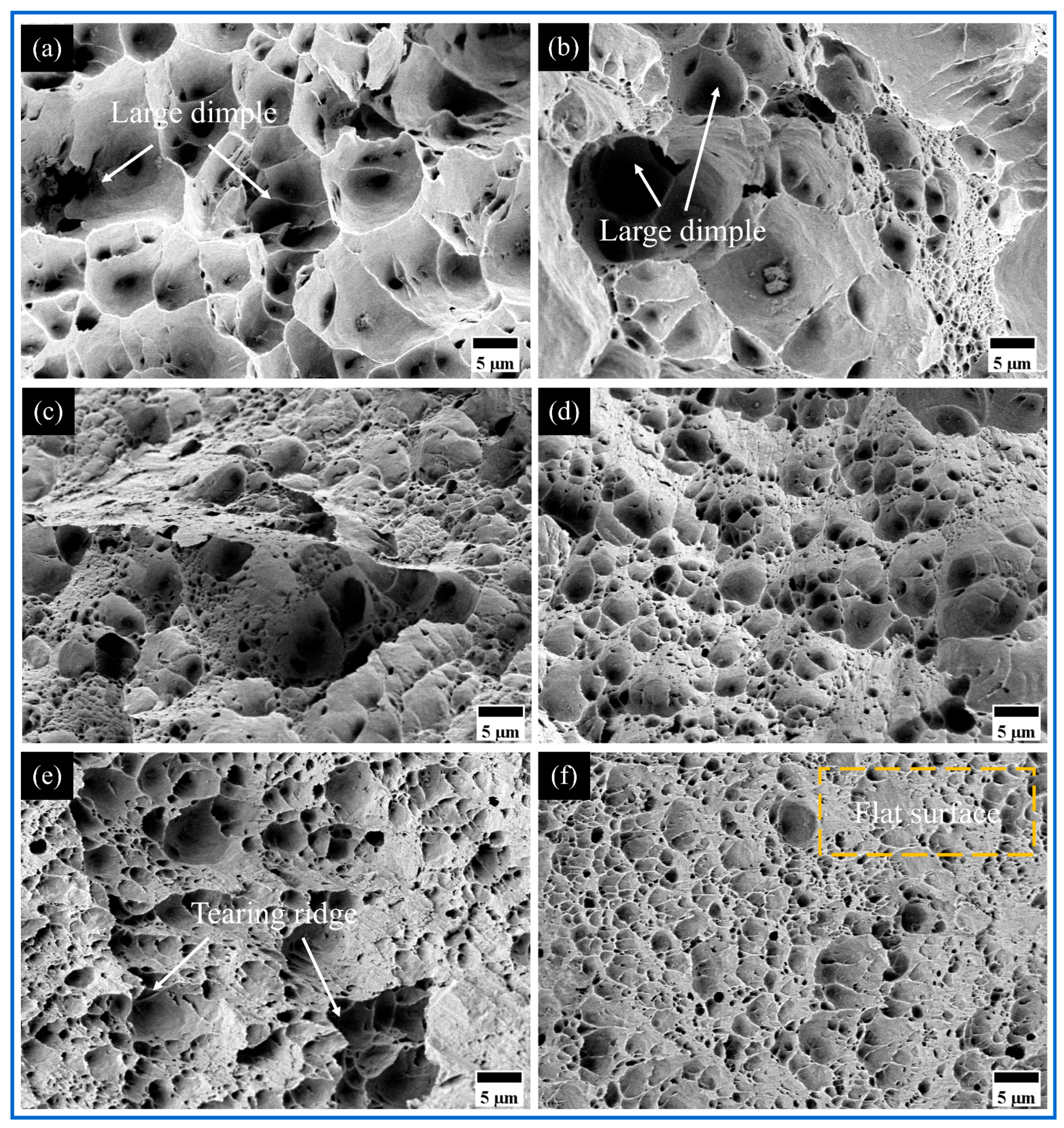 Materials 18 04780 g019 Materials 18 04780 g019