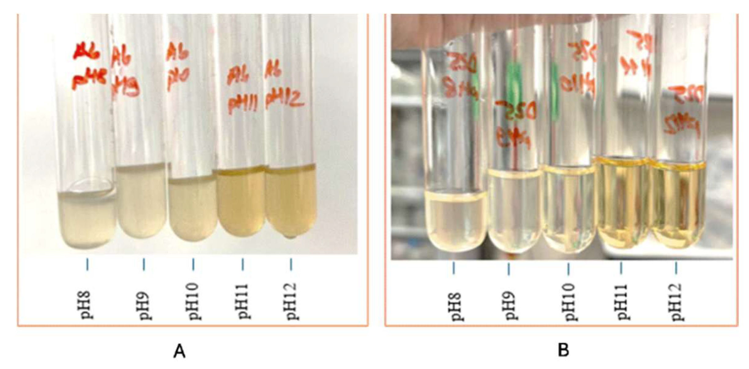 Materials 18 04795 g009