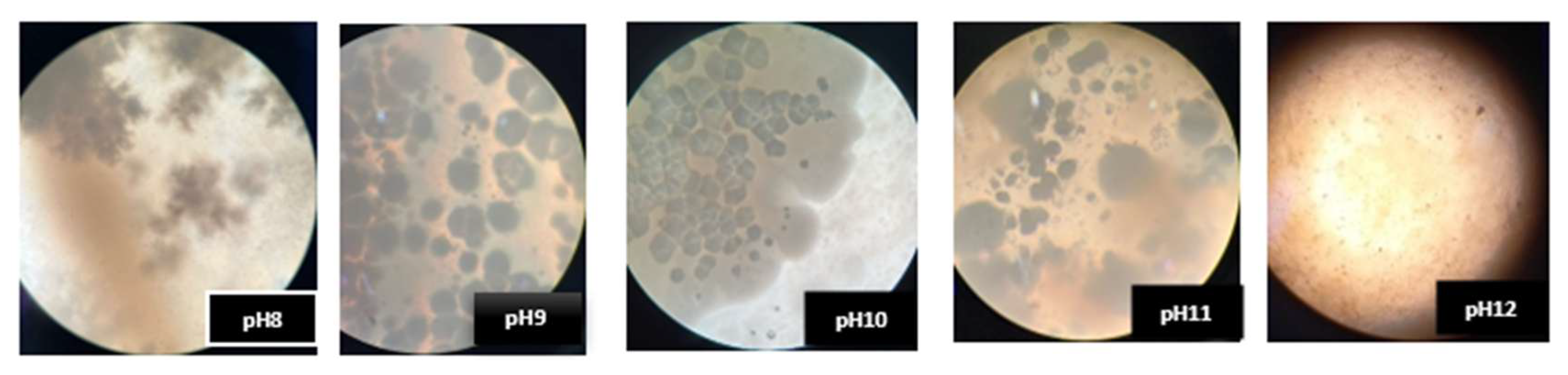 Materials 18 04795 g011