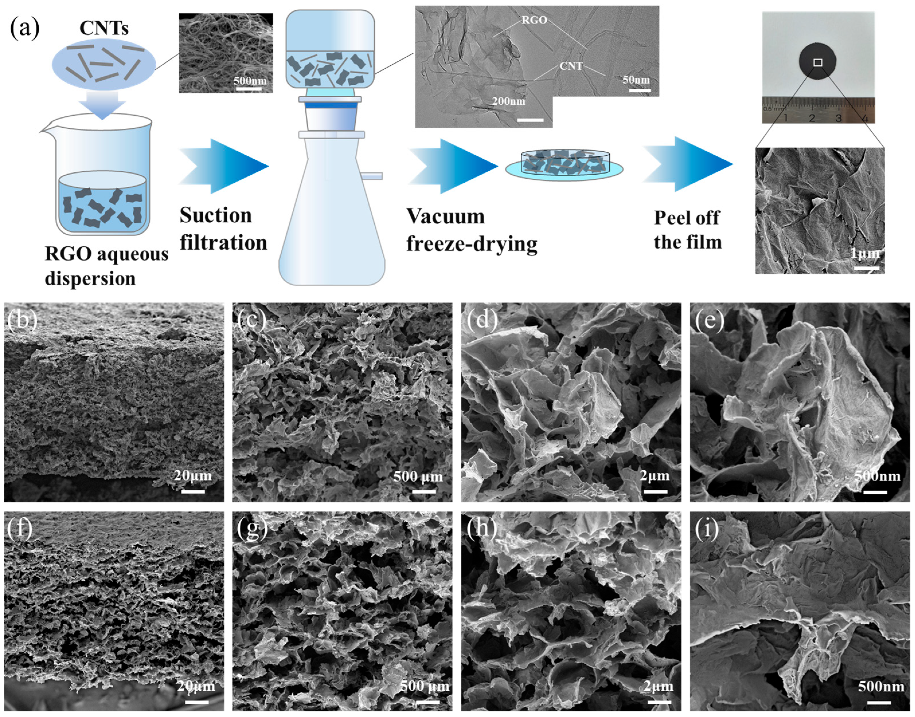 Materials 18 04807 g001