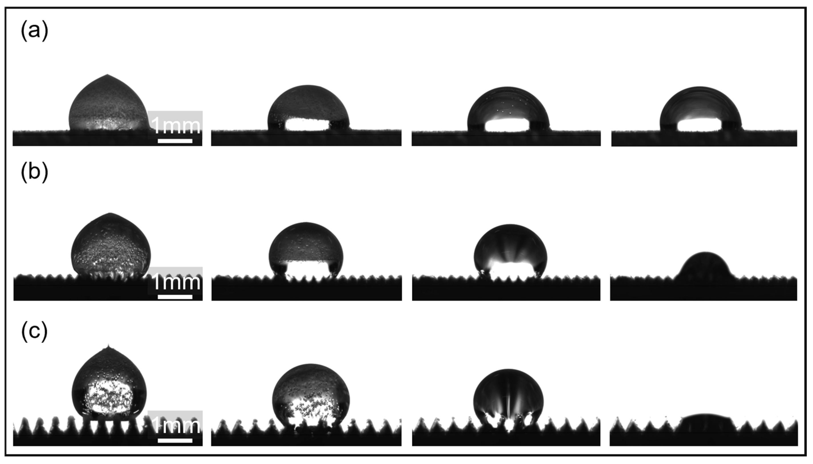 Materials 18 04813 g006