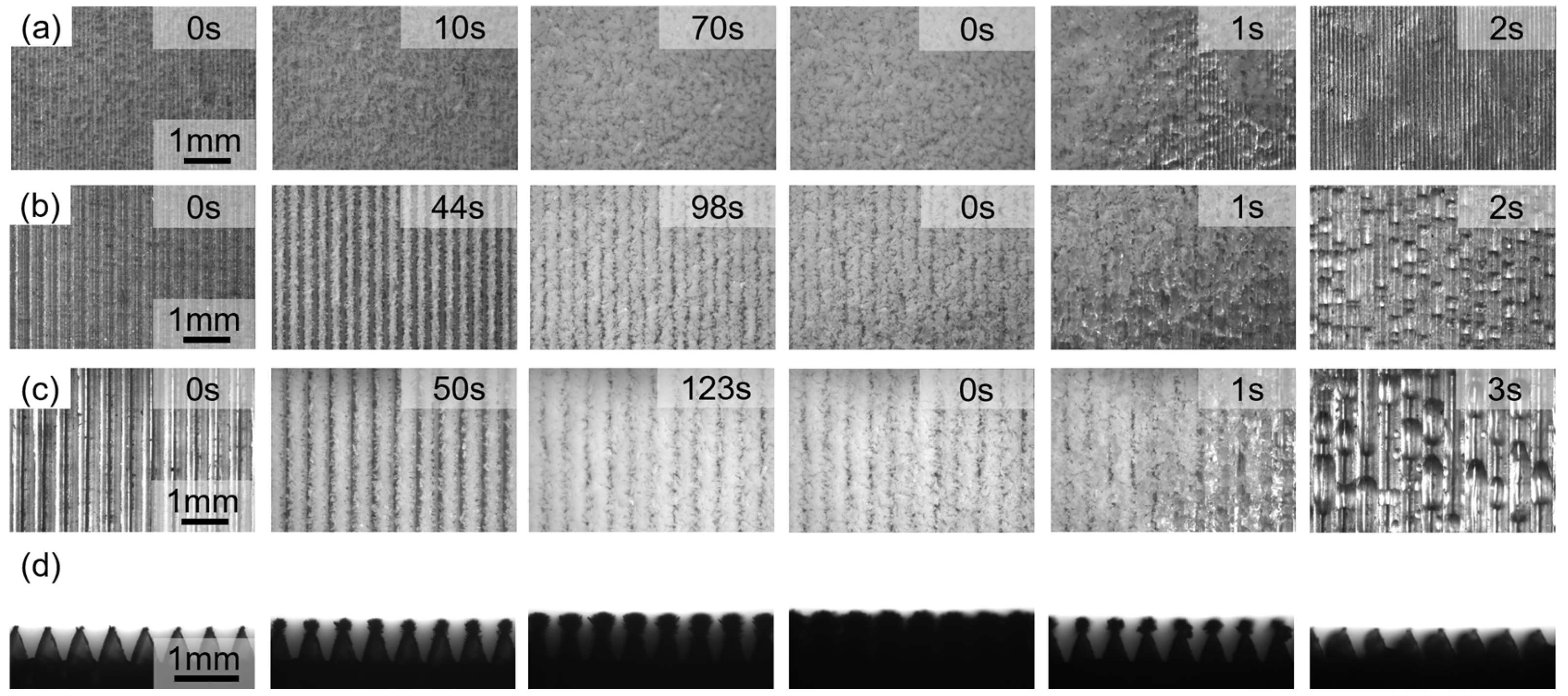 Materials 18 04813 g007