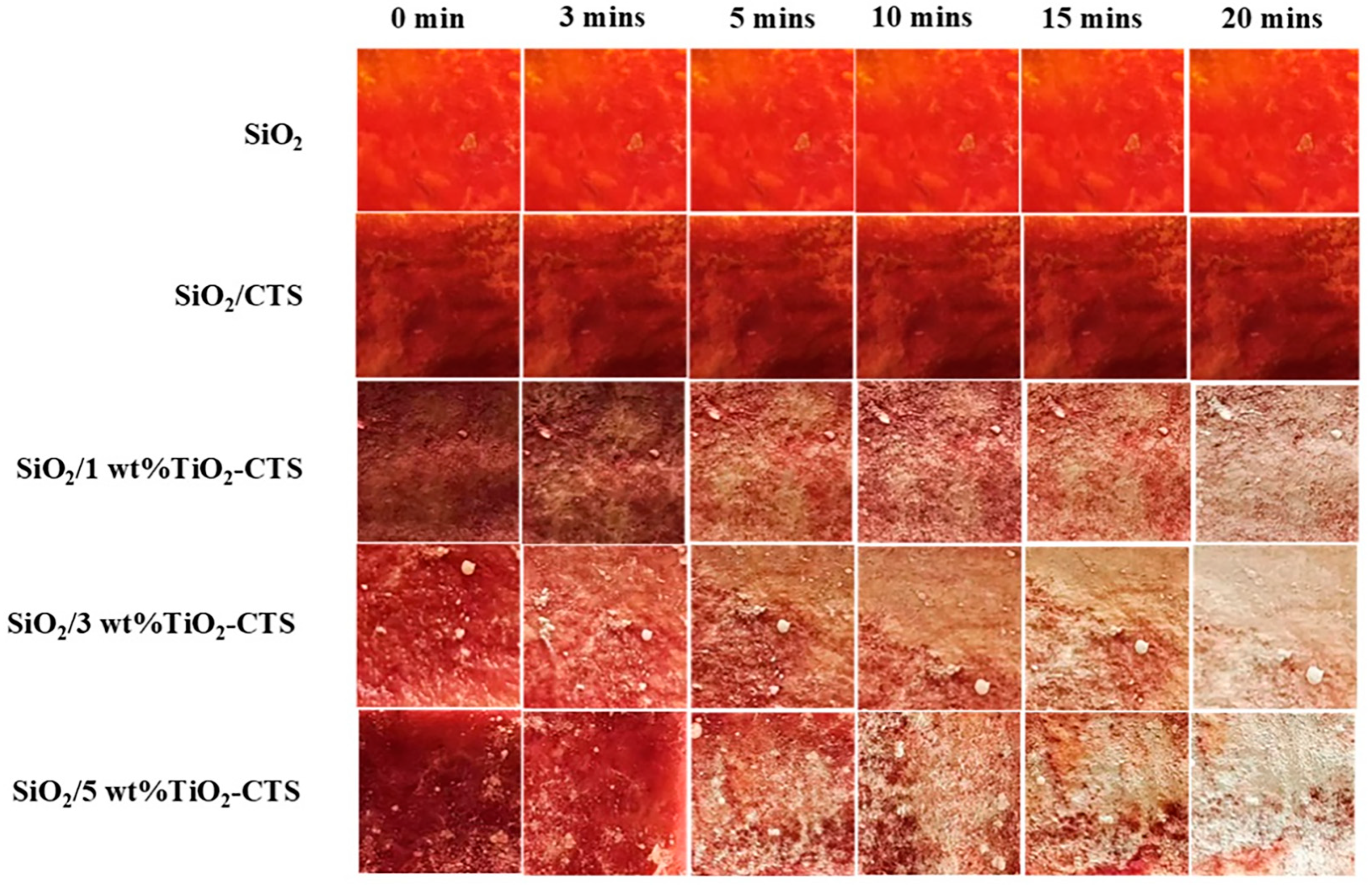 Materials 18 04828 g007