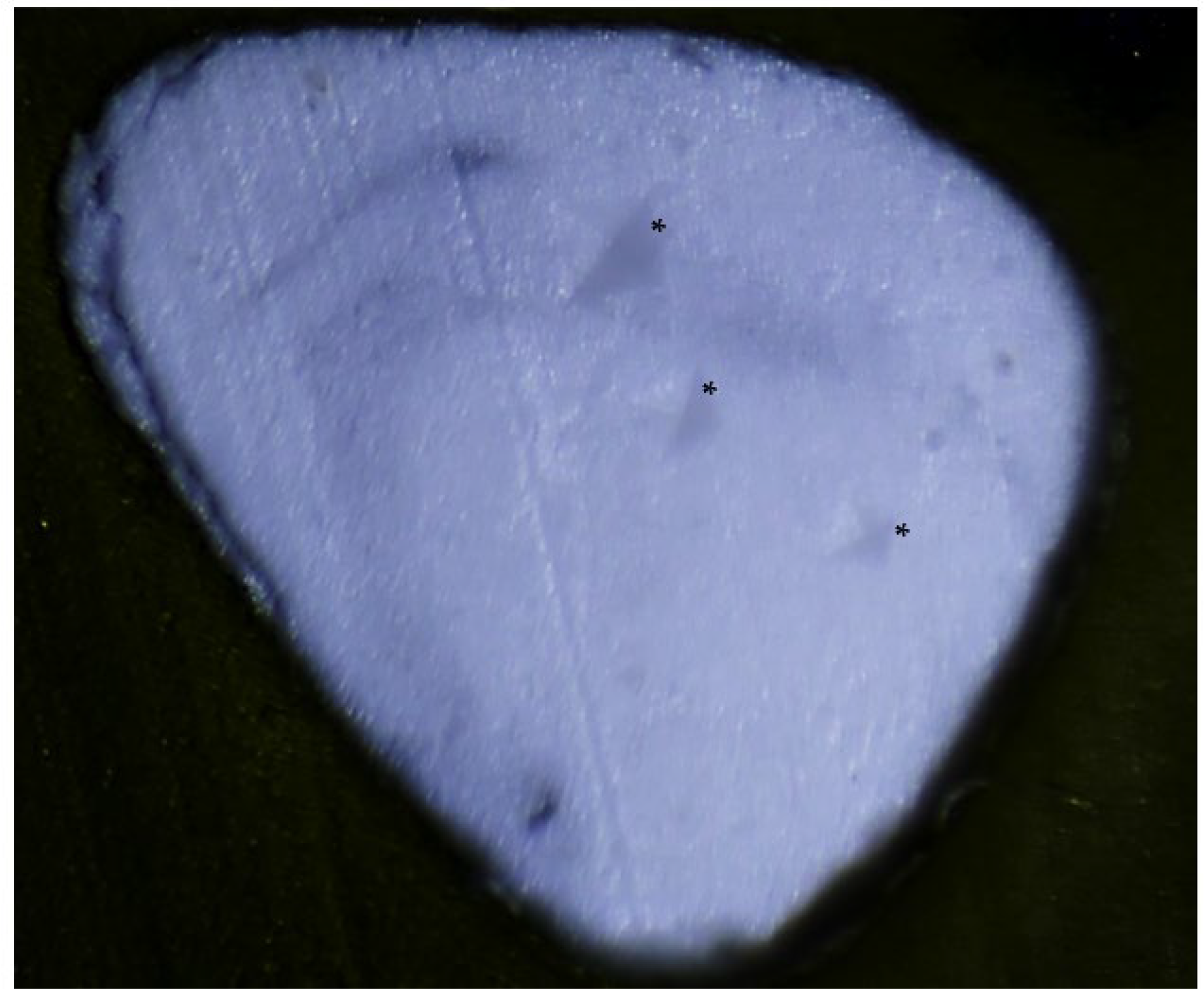 Materials 18 04835 g001