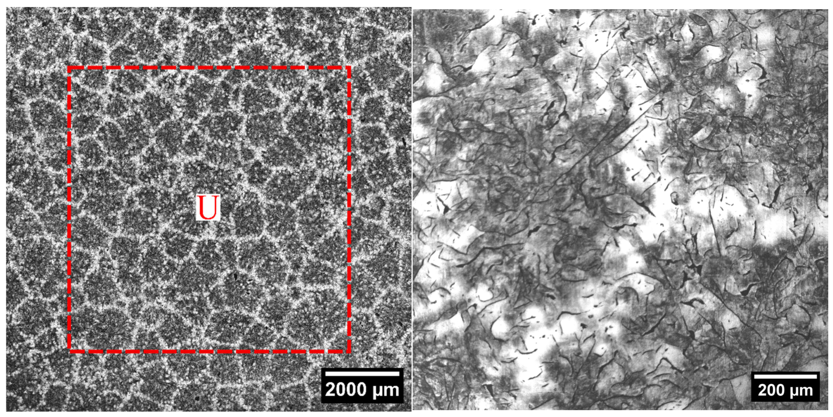 Materials 18 04837 g004