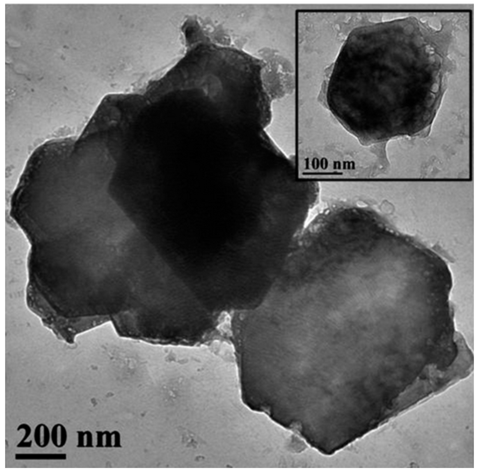 Materials 18 04846 g004