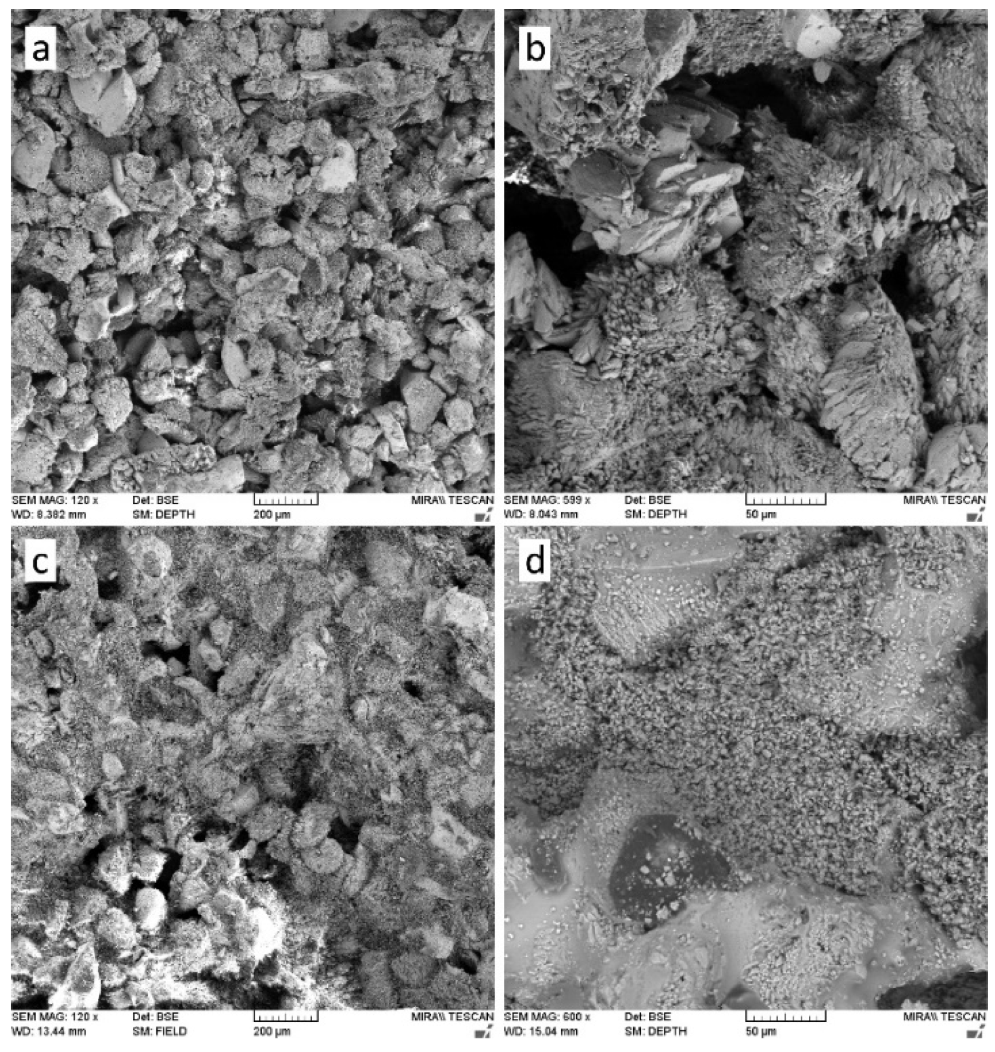 Materials 18 04846 g005