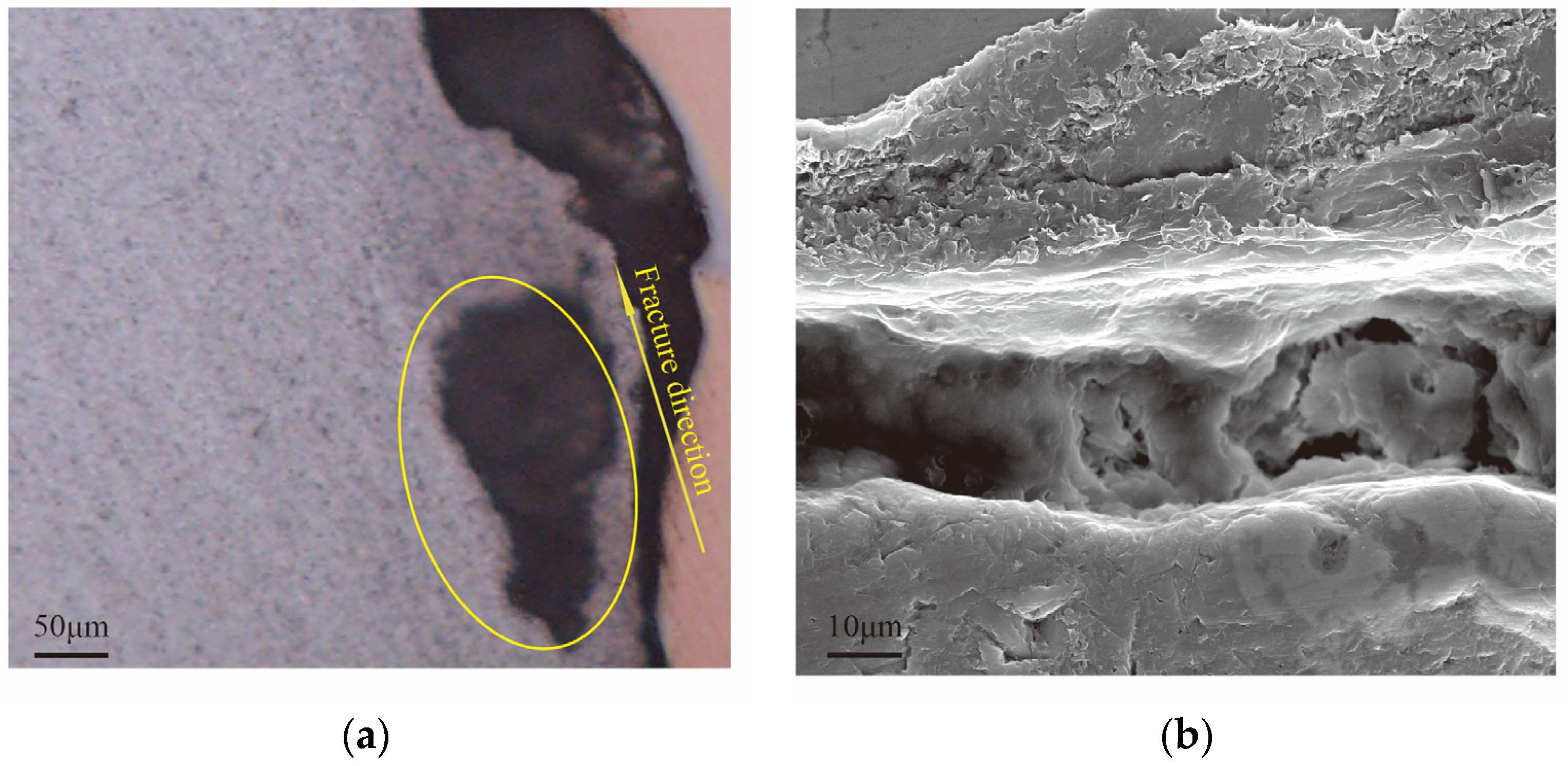 Materials 18 04862 g005 Materials 18 04862 g005