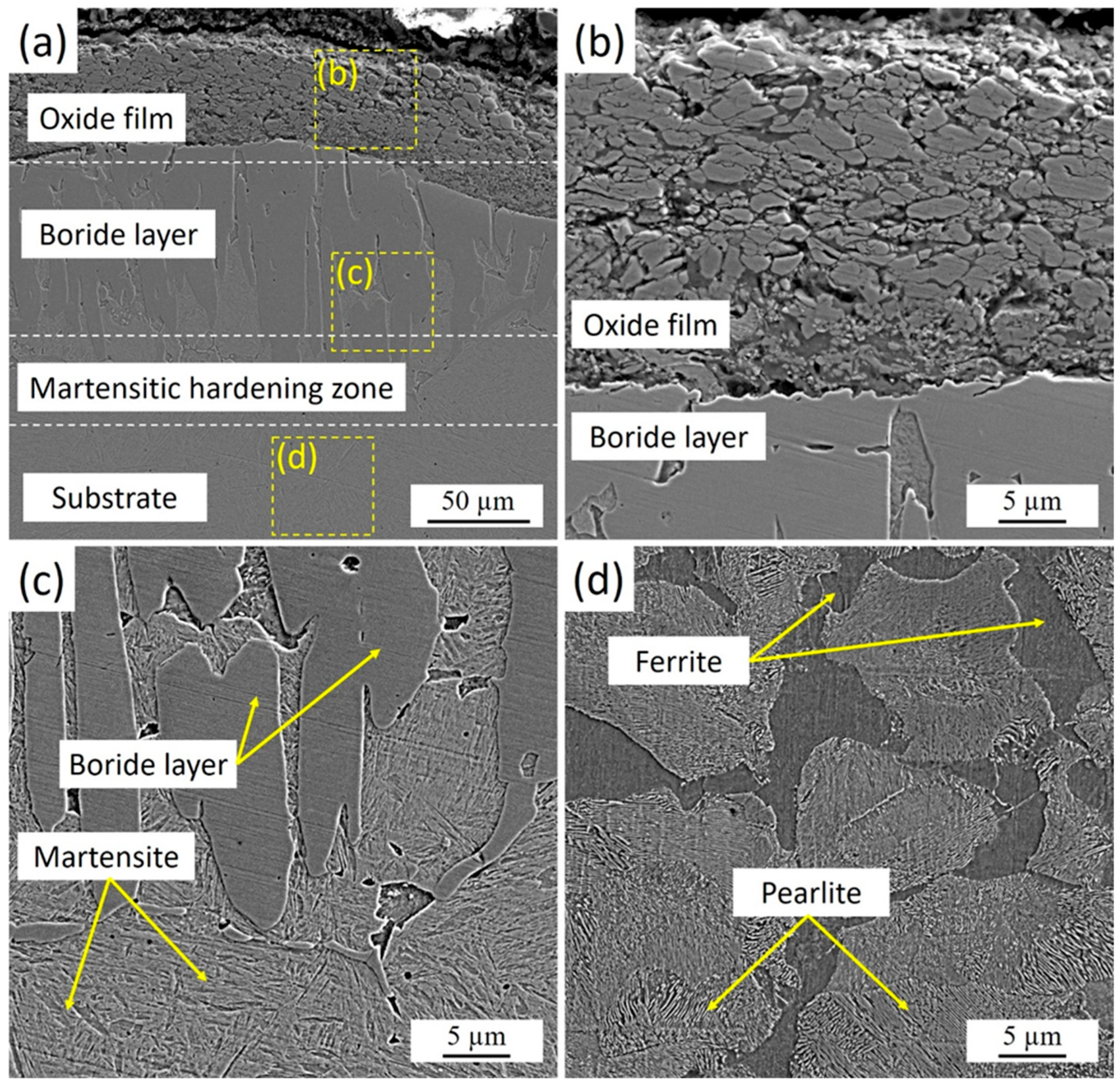Materials 18 04867 g003