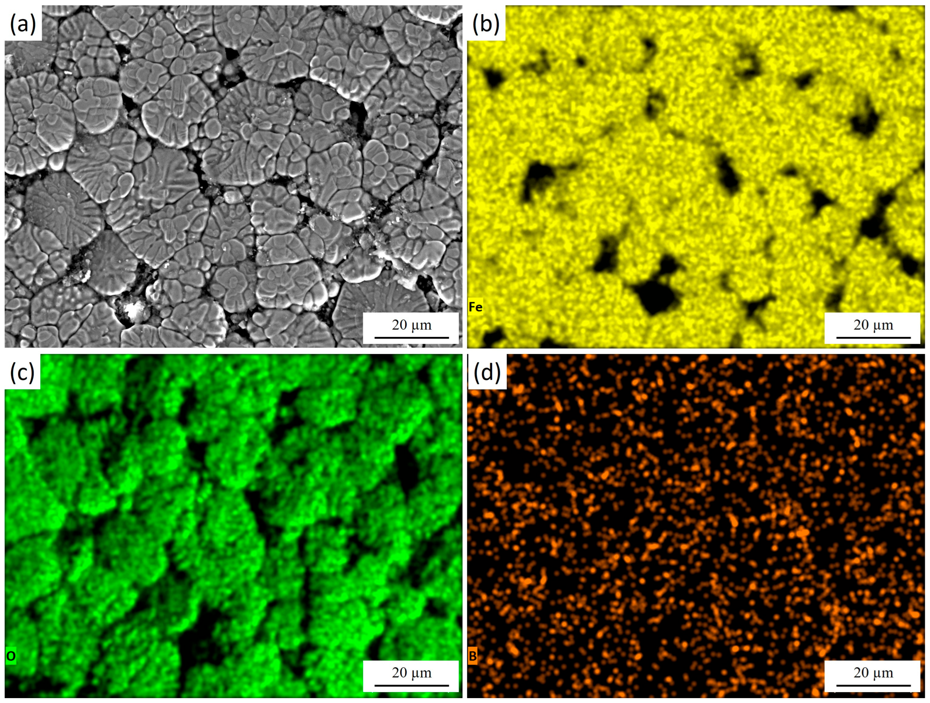 Materials 18 04867 g005