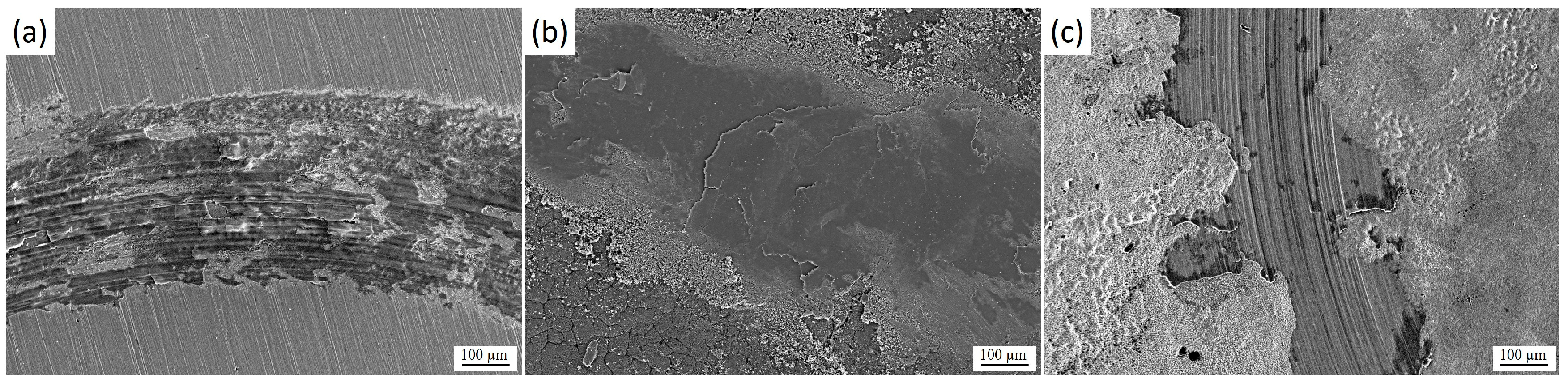 Materials 18 04867 g010