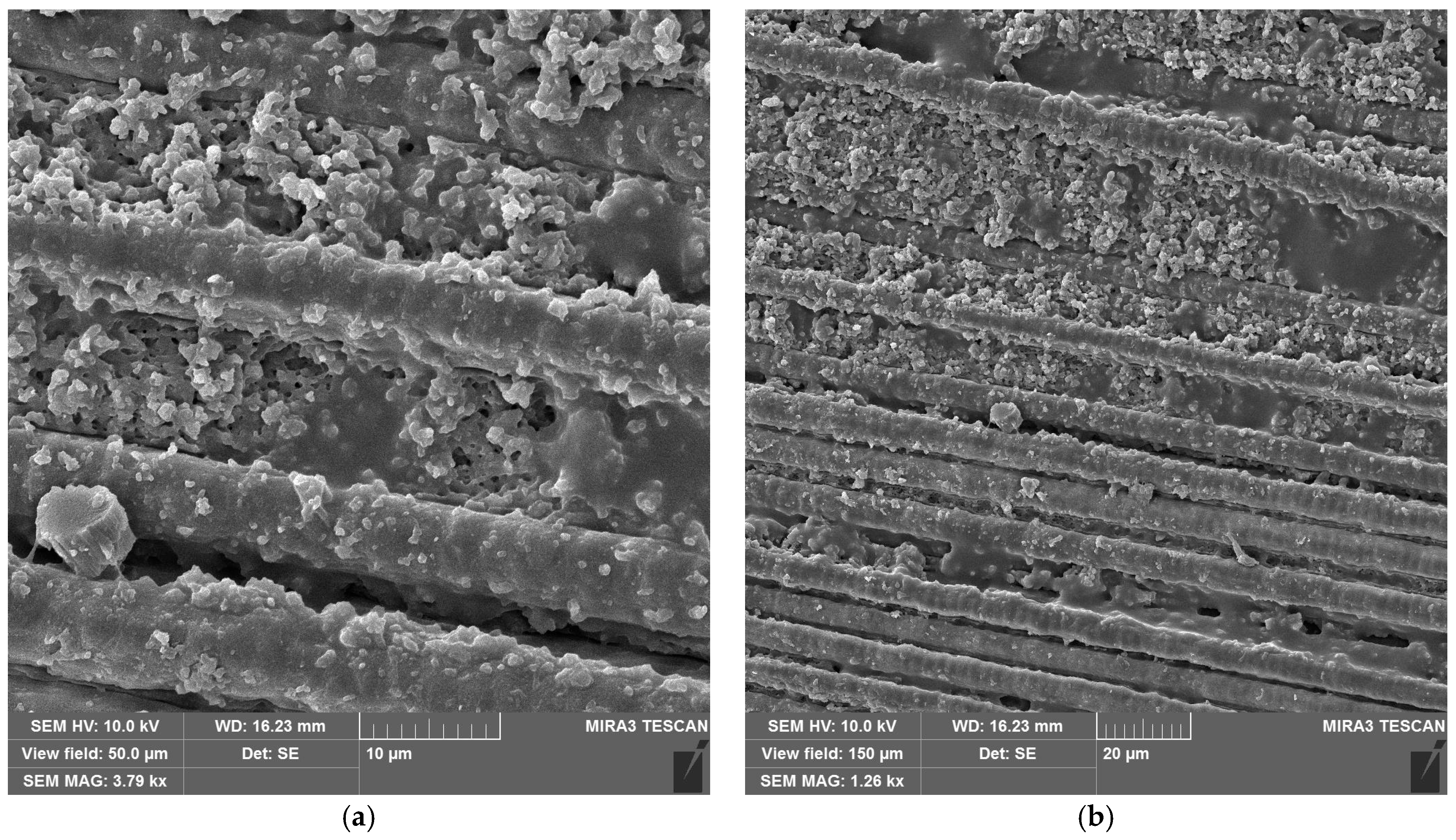 Materials 18 04879 g010a Materials 18 04879 g010a