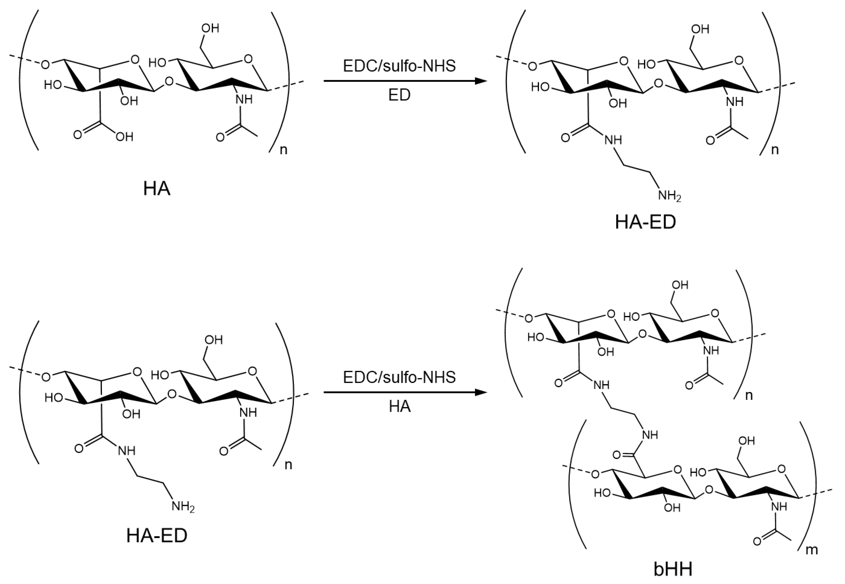 Materials 18 04882 g001 Materials 18 04882 g001