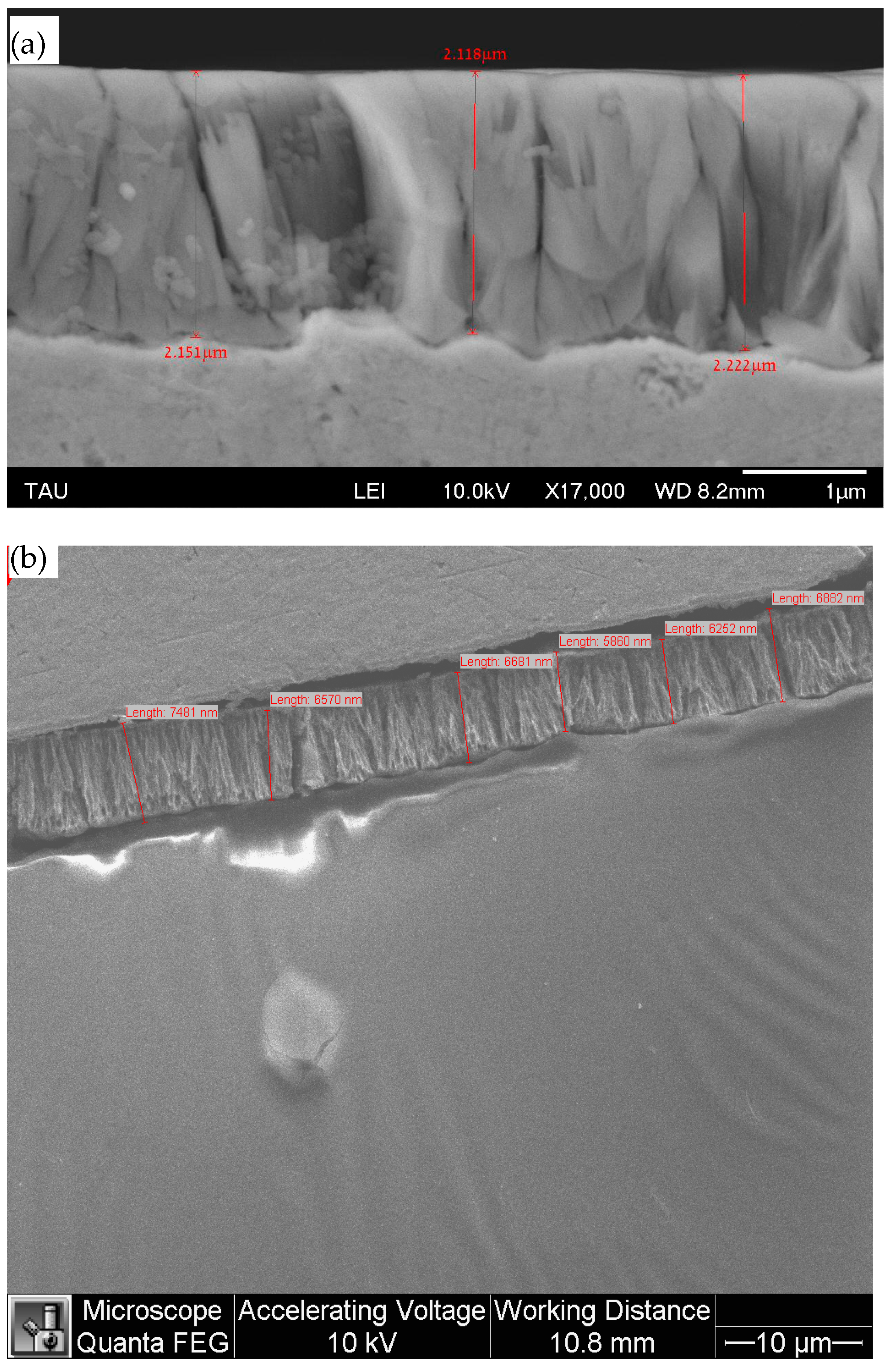 Materials 18 04883 g005 Materials 18 04883 g005