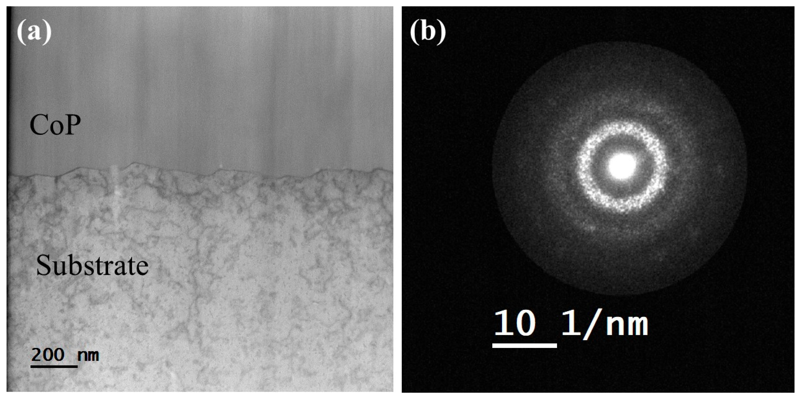 Materials 18 04883 g011 Materials 18 04883 g011