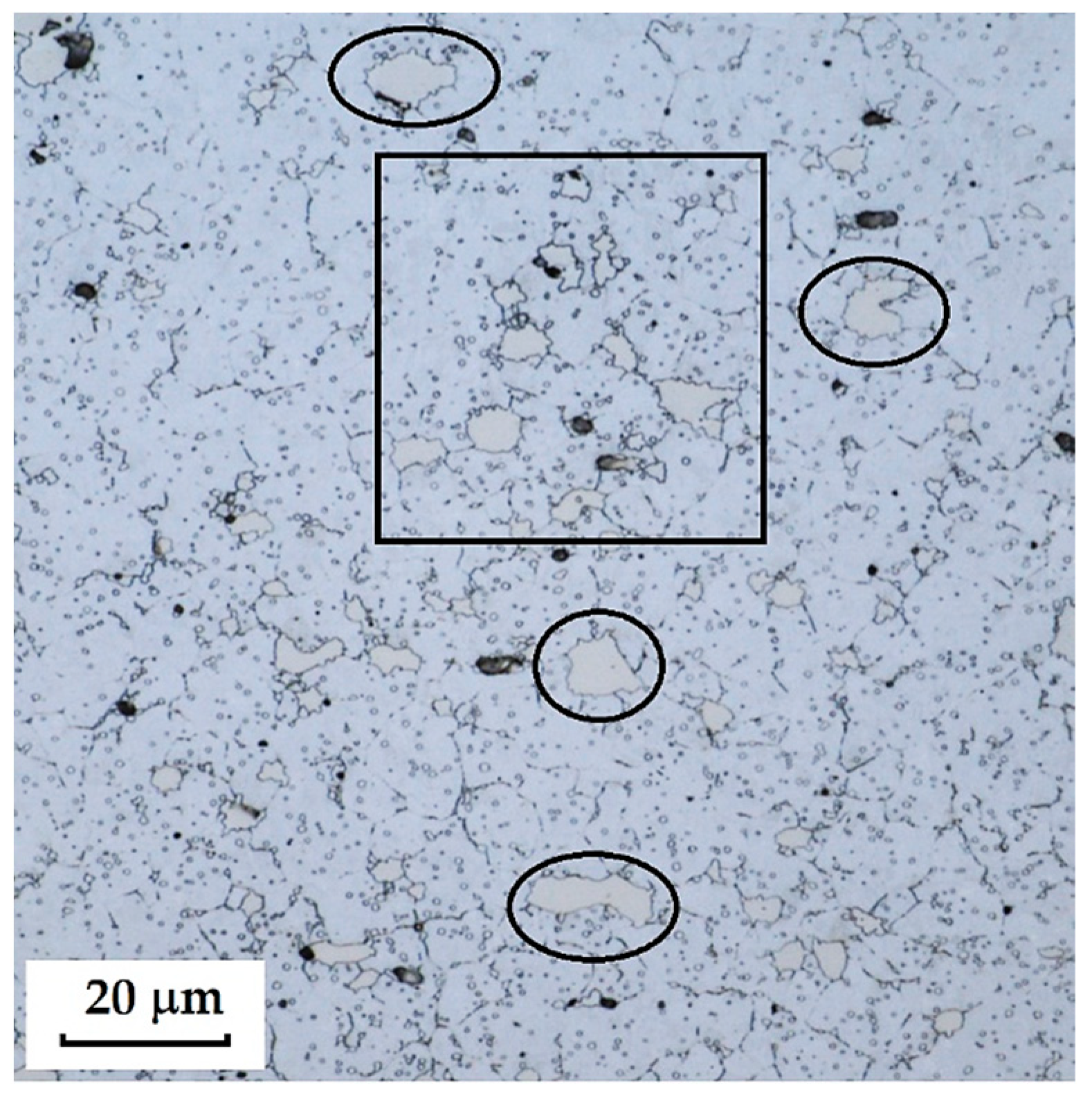 Materials 18 04900 g011