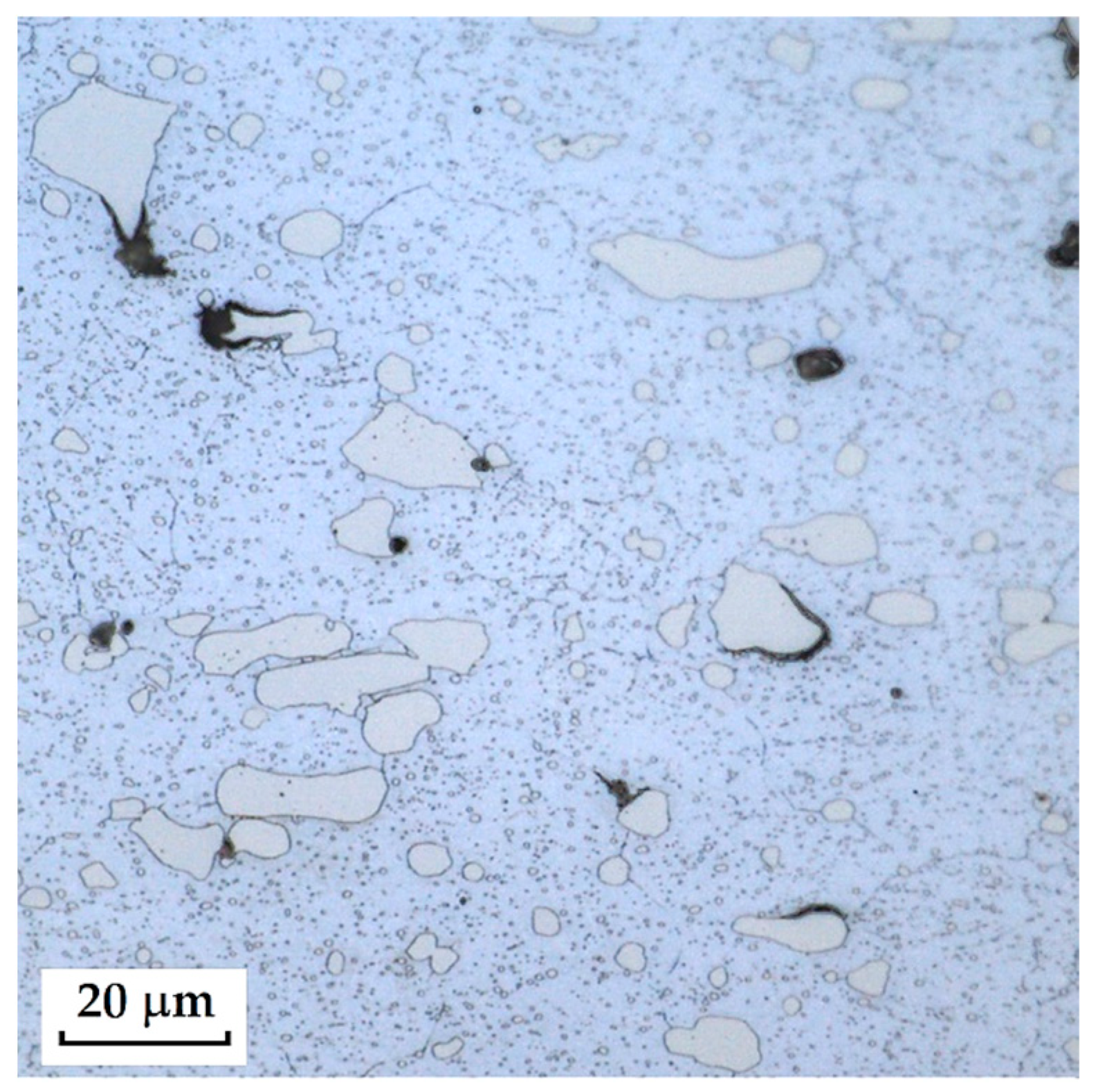 Materials 18 04900 g017