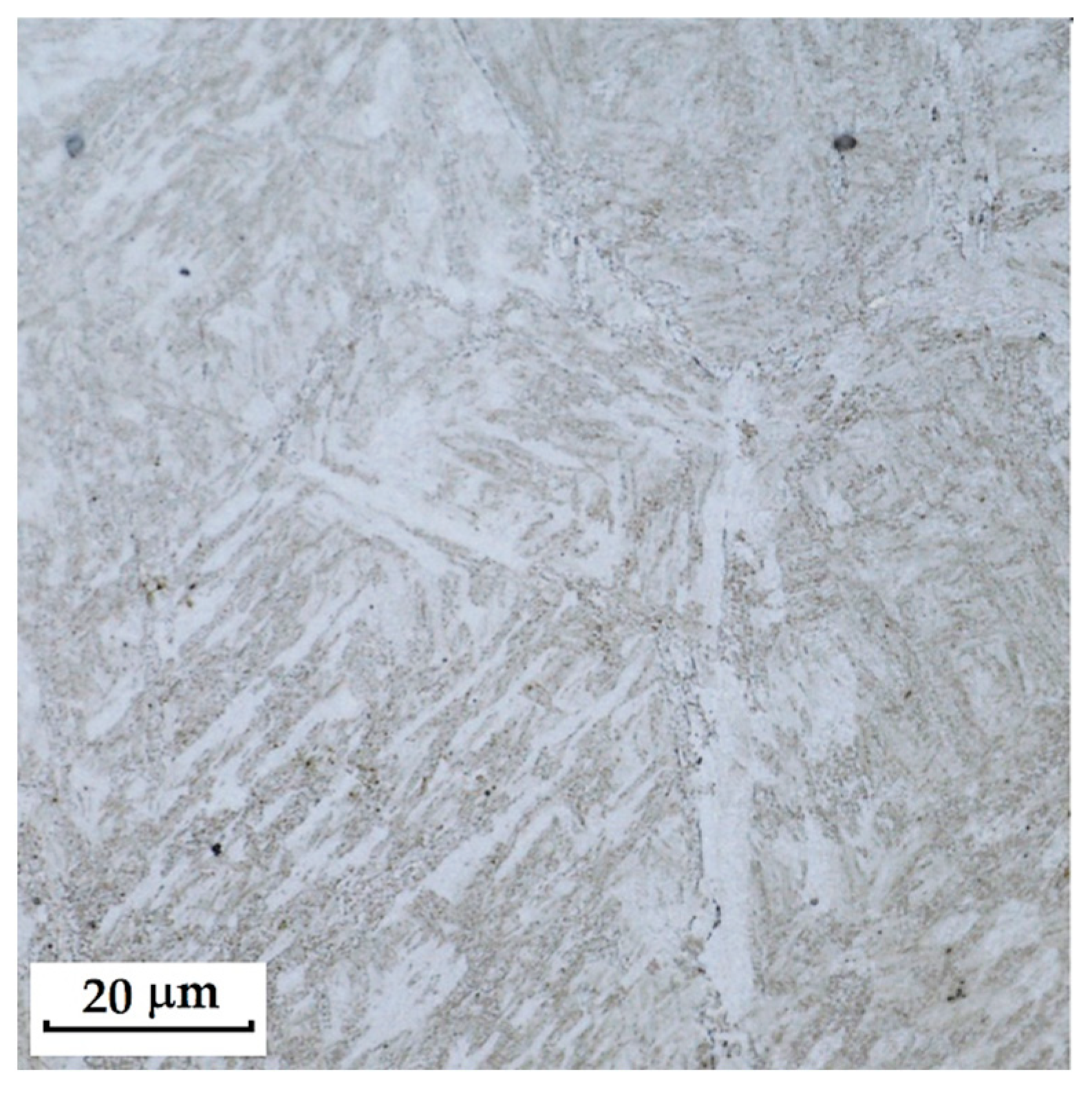 Materials 18 04900 g019