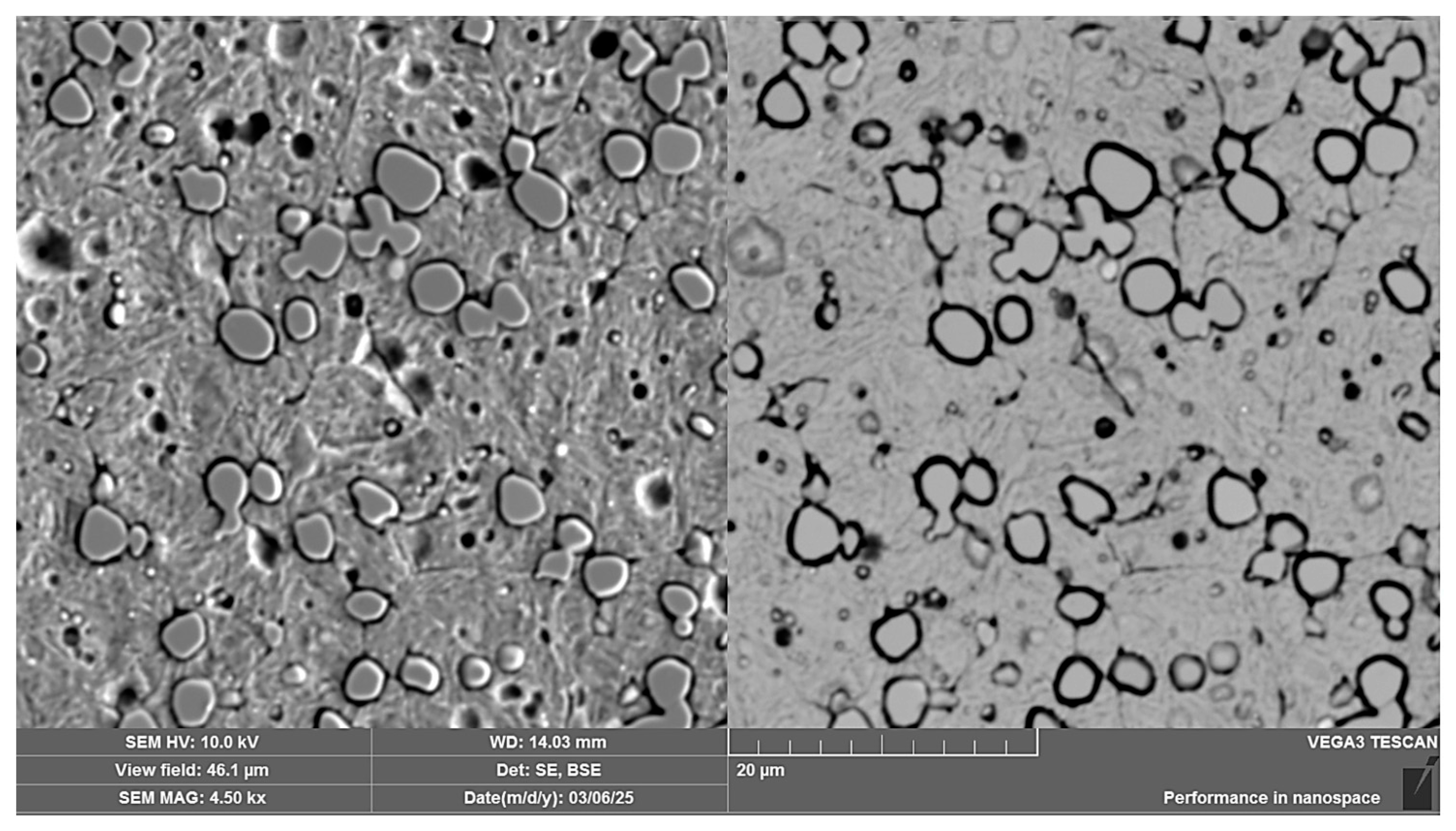Materials 18 04900 g024