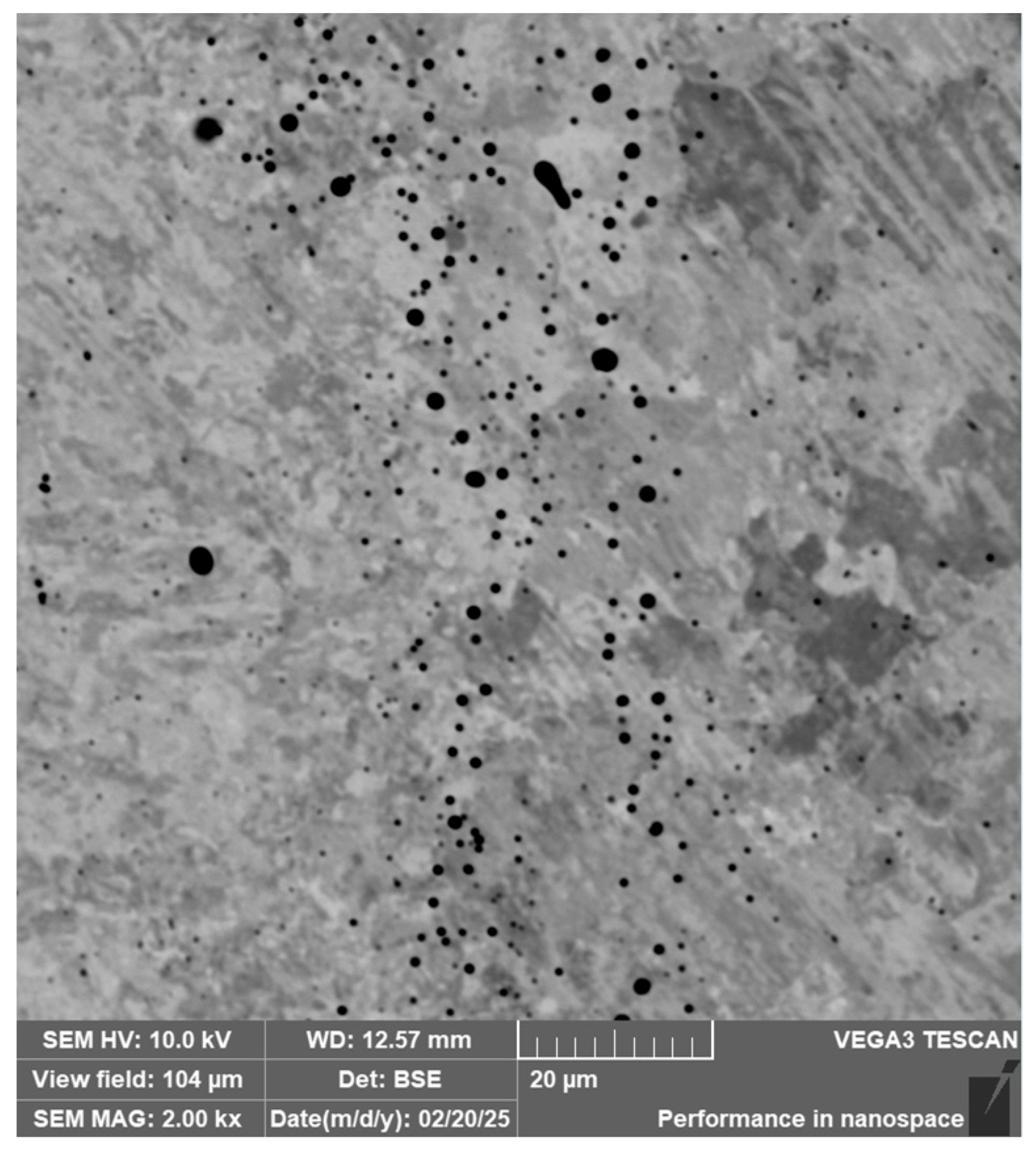 Materials 18 04900 g030