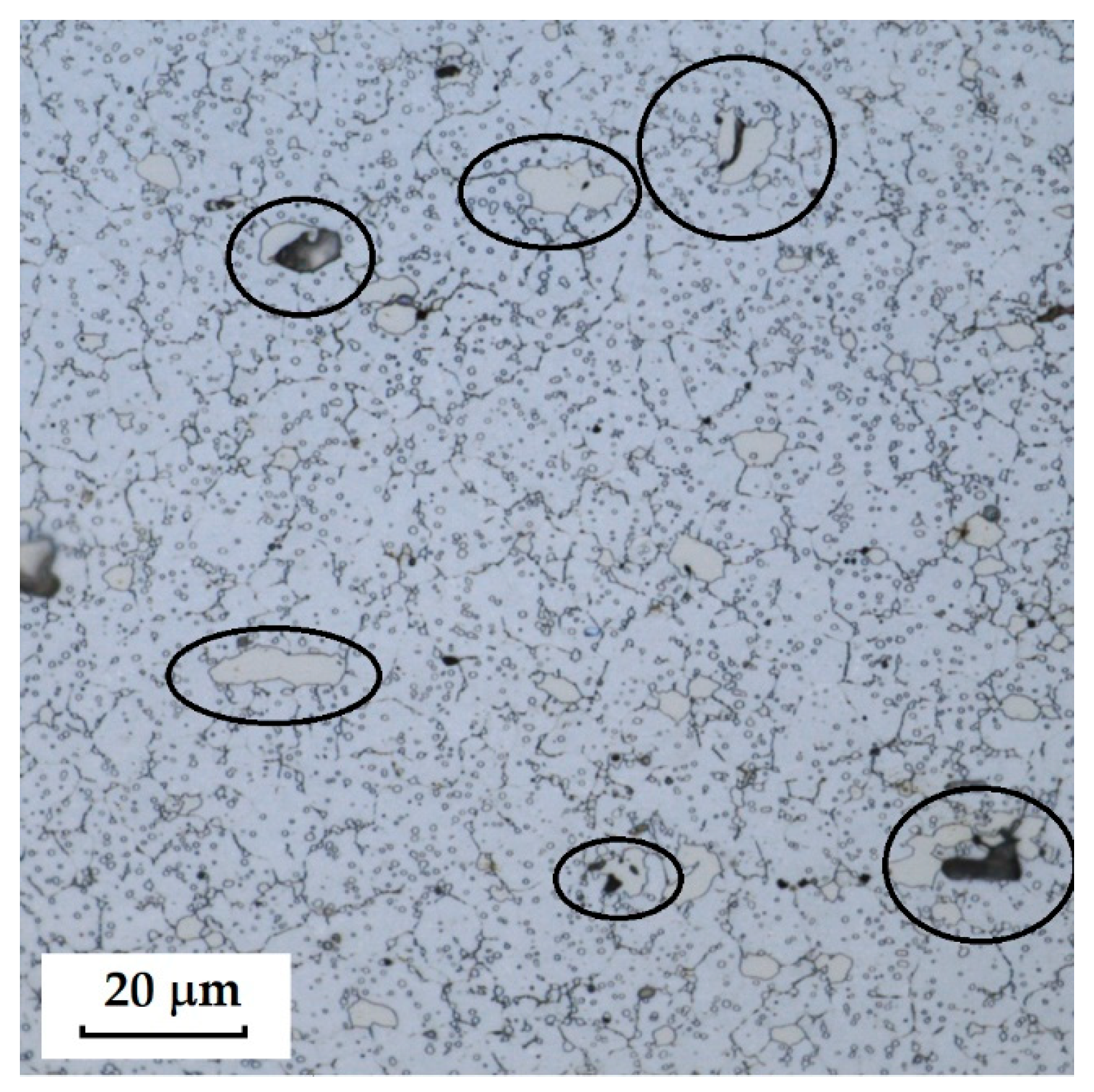 Materials 18 04900 g038