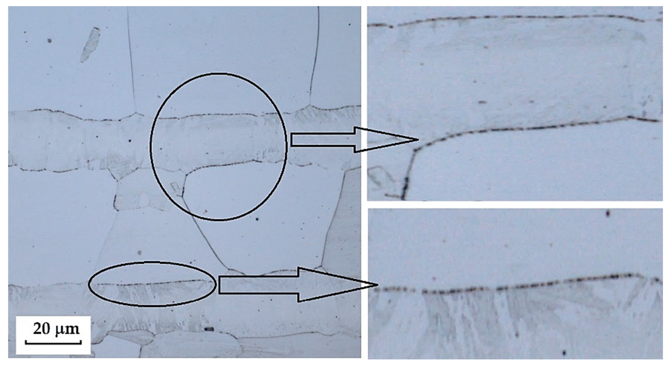 Materials 18 04900 g039