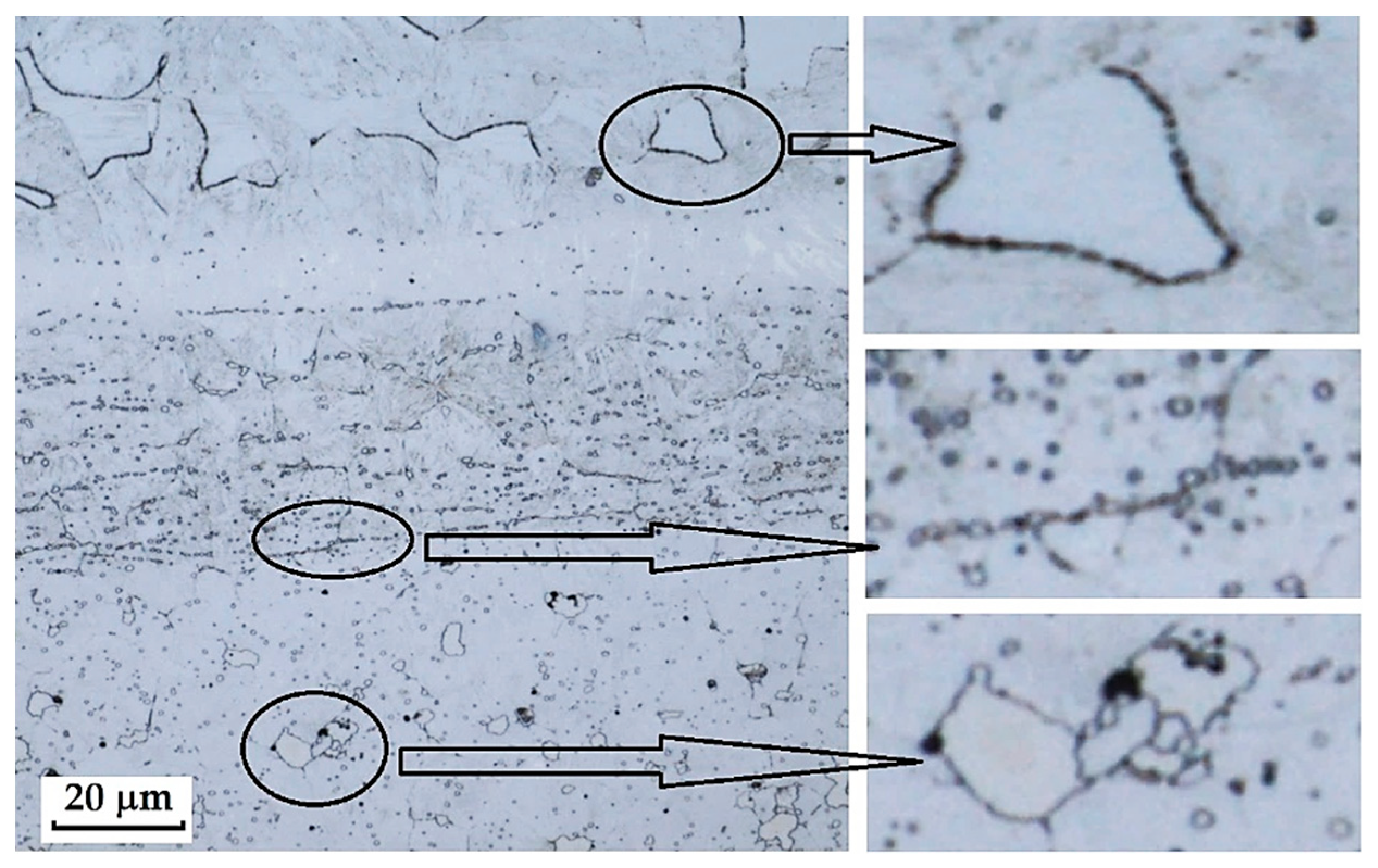 Materials 18 04900 g040