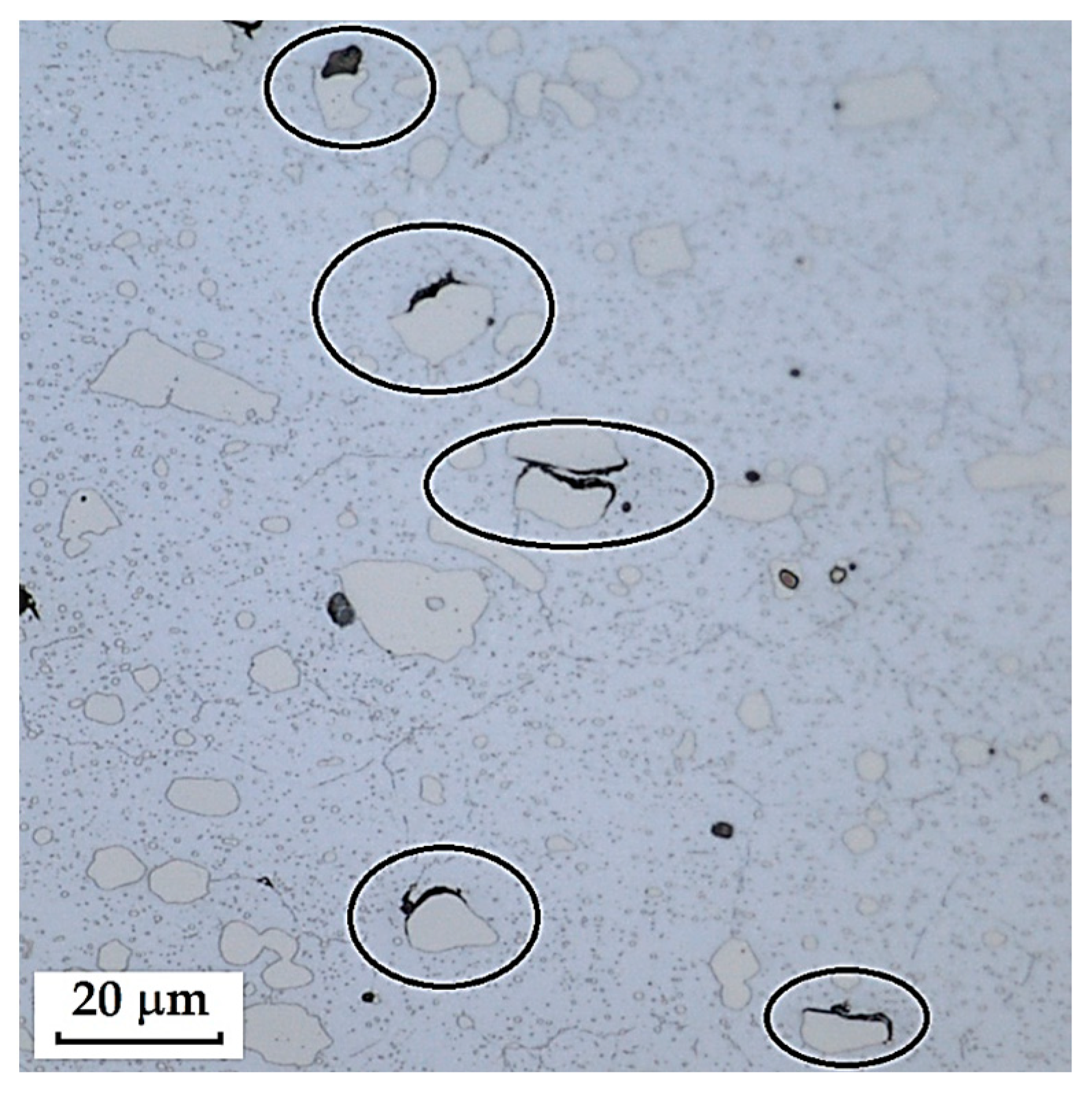 Materials 18 04900 g041