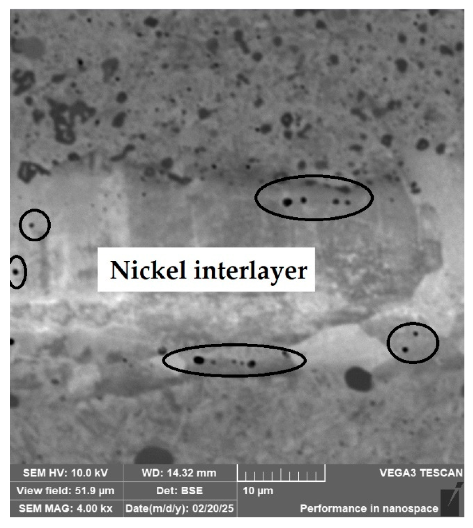 Materials 18 04900 g043