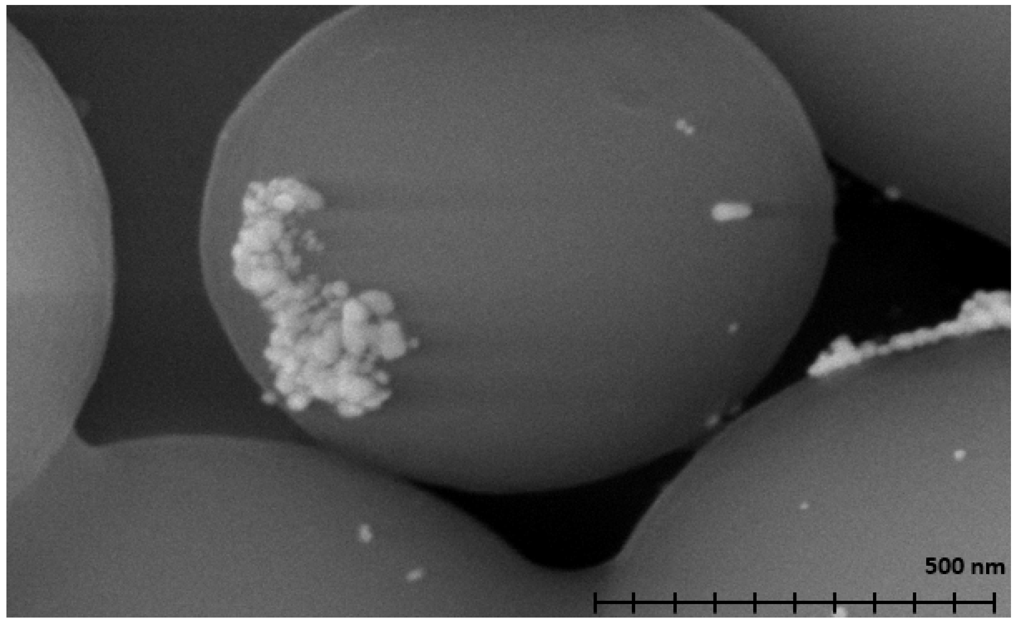 Materials 18 04912 g002