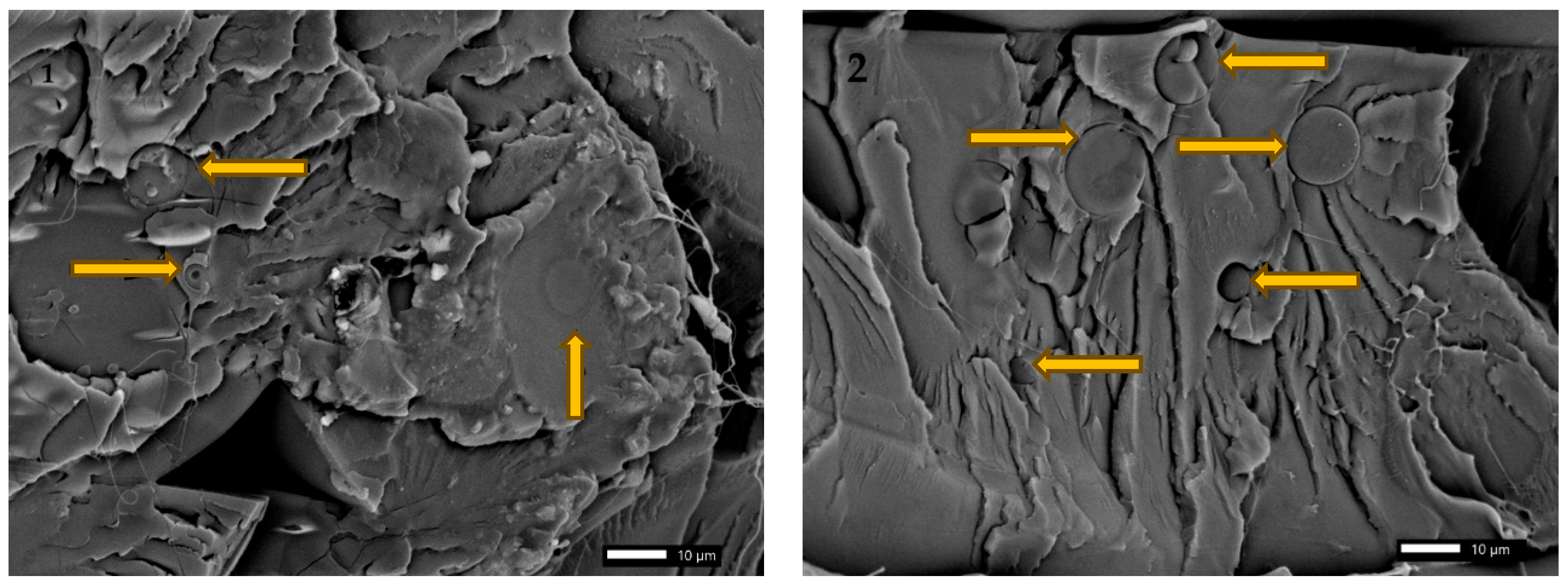 Materials 18 04918 g009