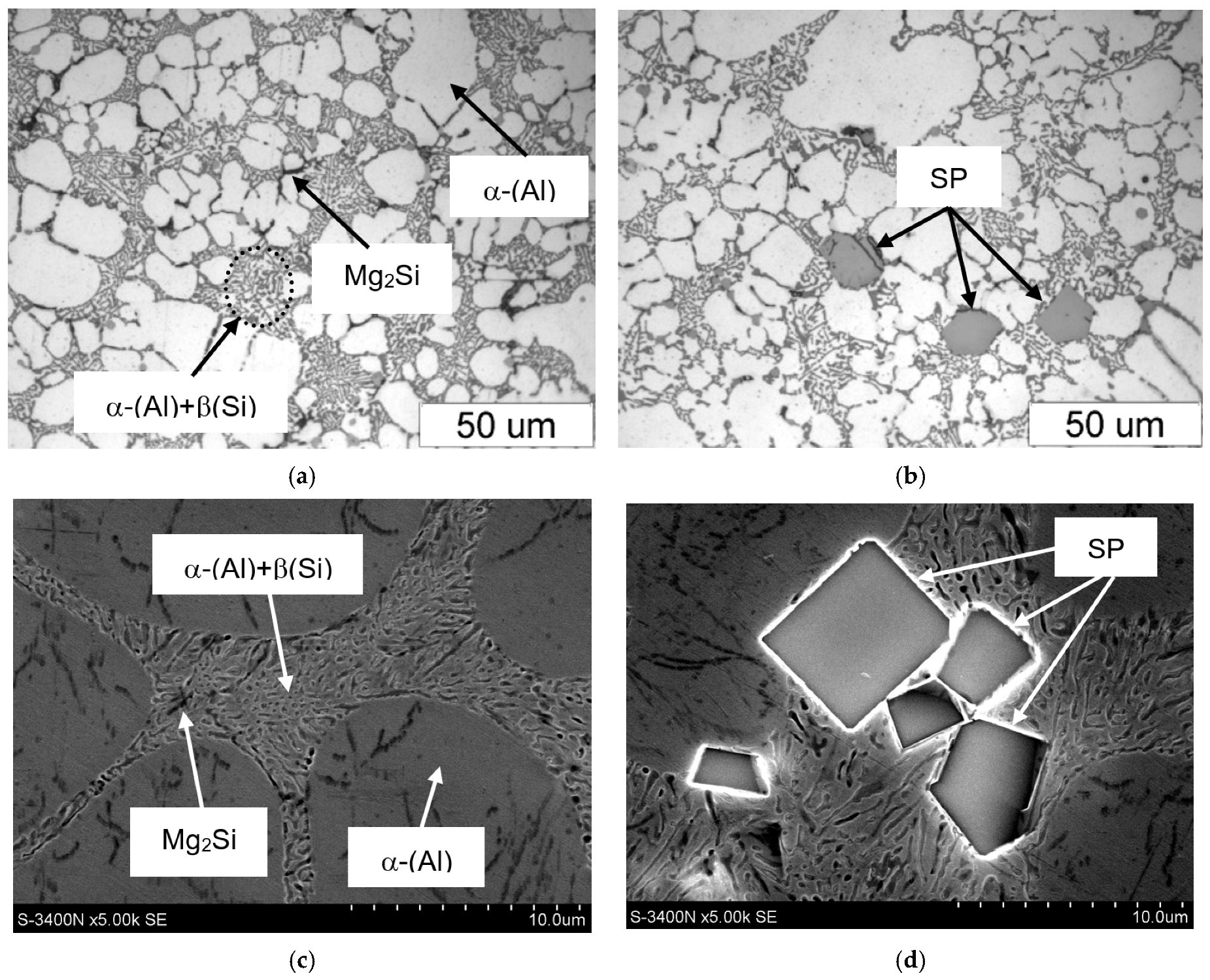 Materials 18 04921 g005 Materials 18 04921 g005