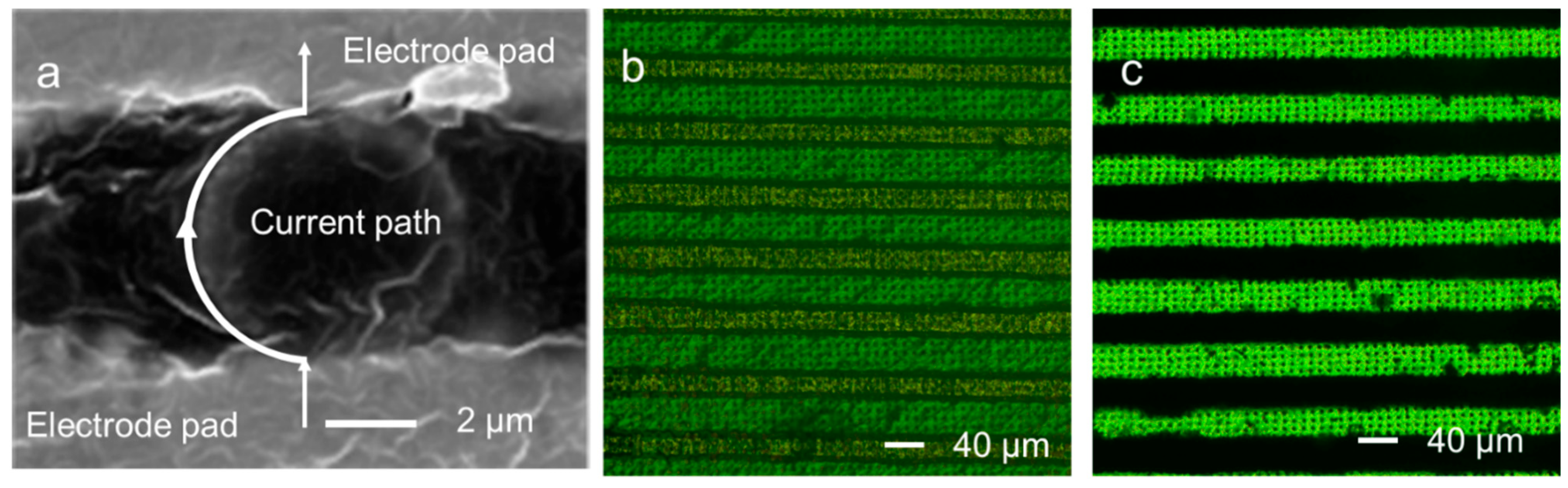Materials 18 04927 g008 Materials 18 04927 g008