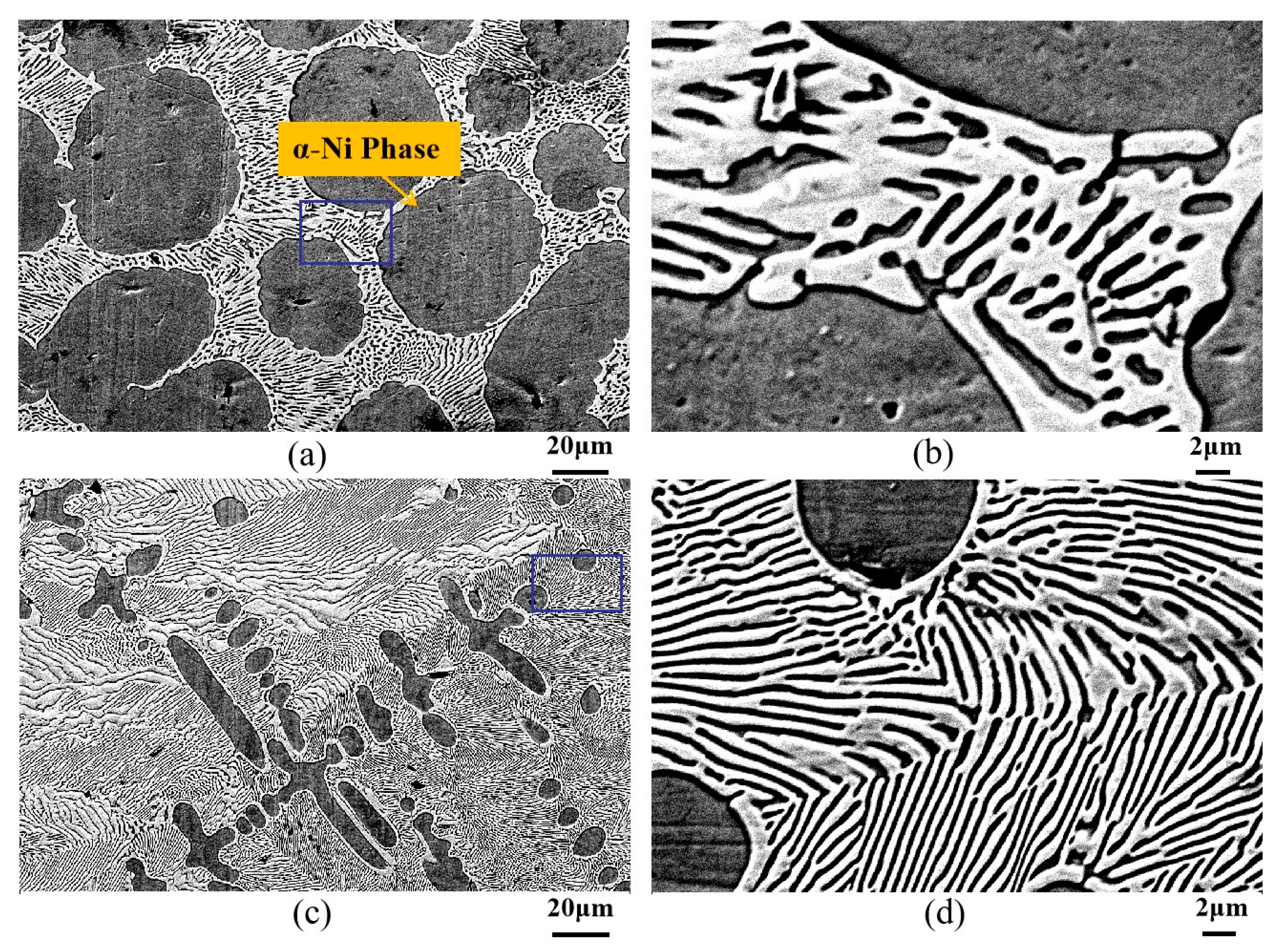 Materials 18 04933 g001